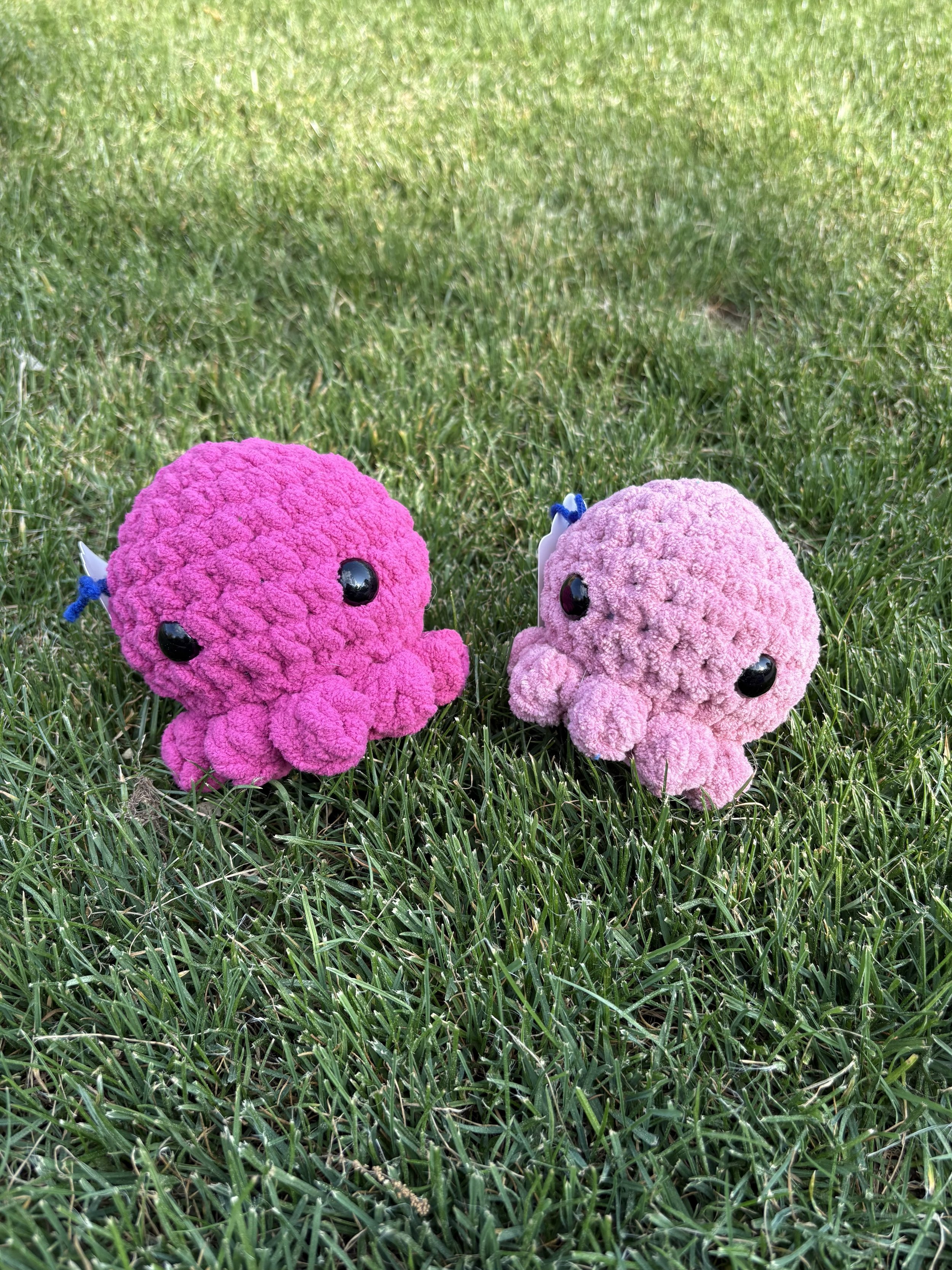 Round Octopus 1.jpeg