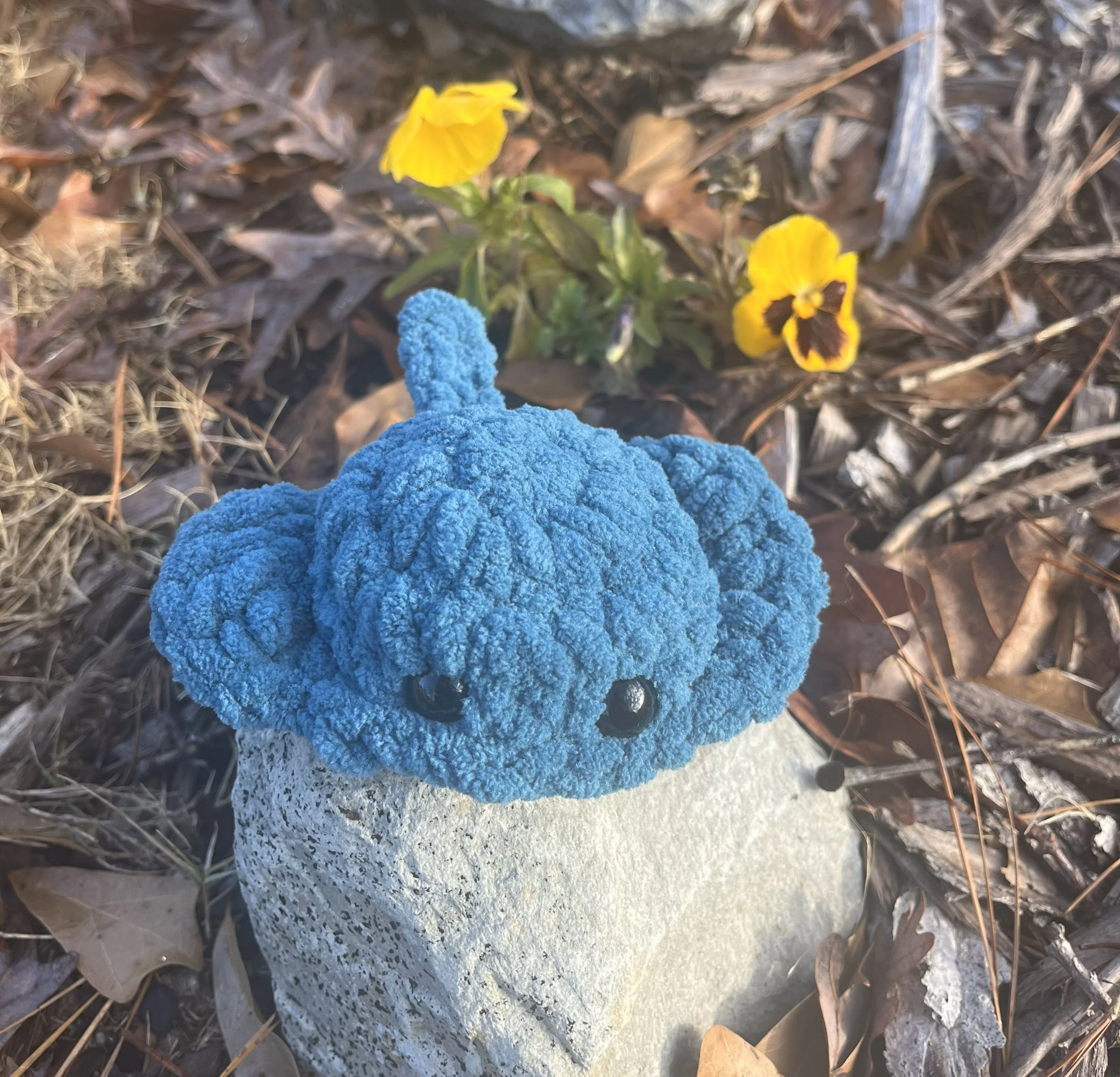 Stingray Buddy 1.jpg