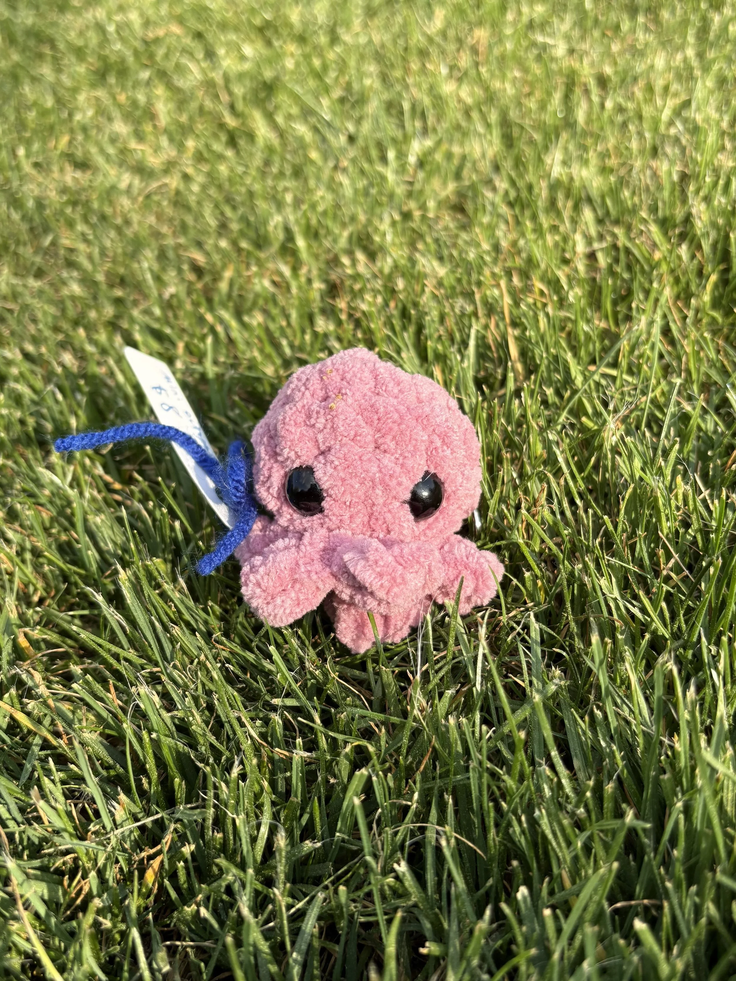 Octopus Keychain 2.jpeg