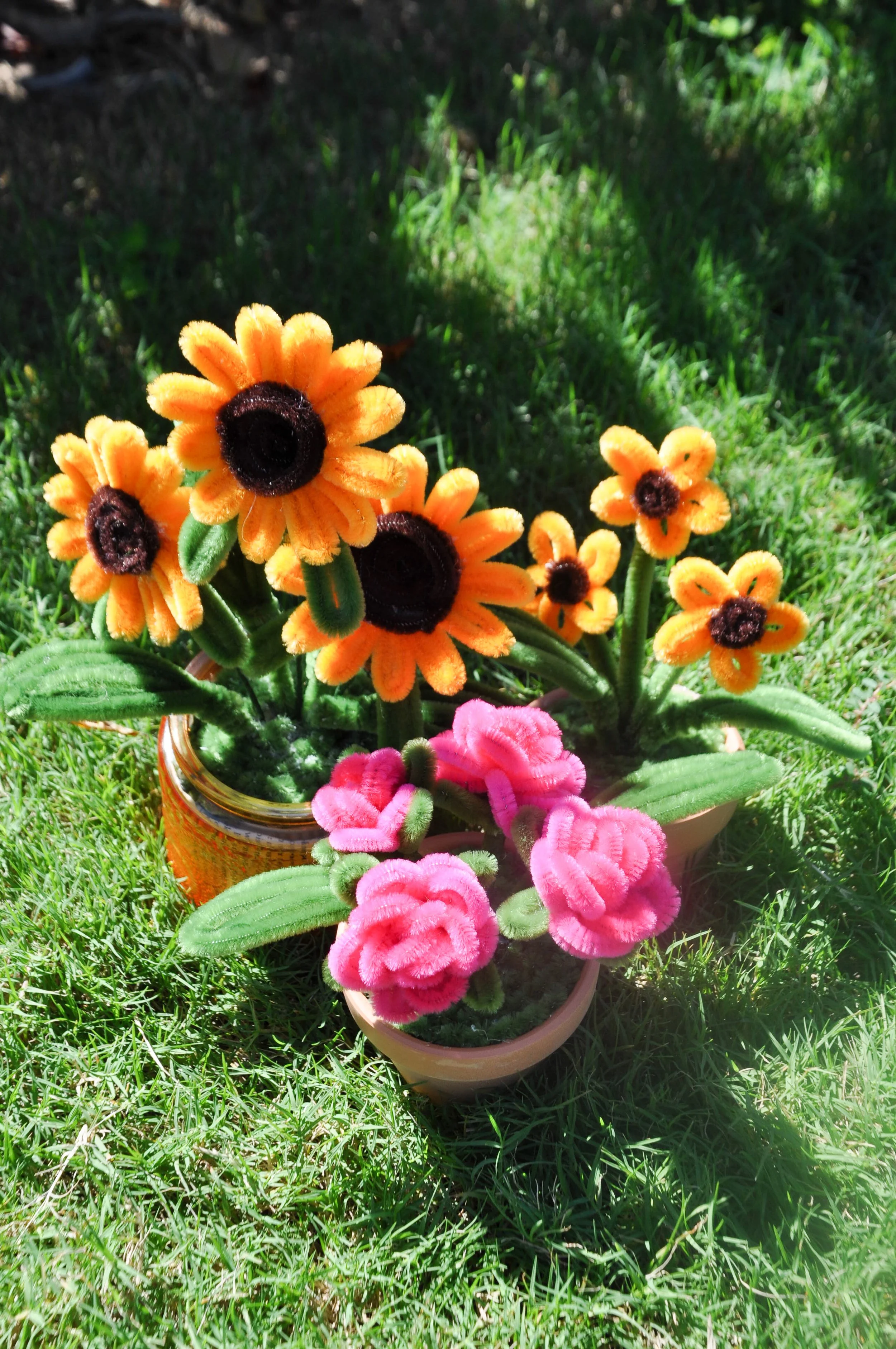 Rose in a Pot.jpg