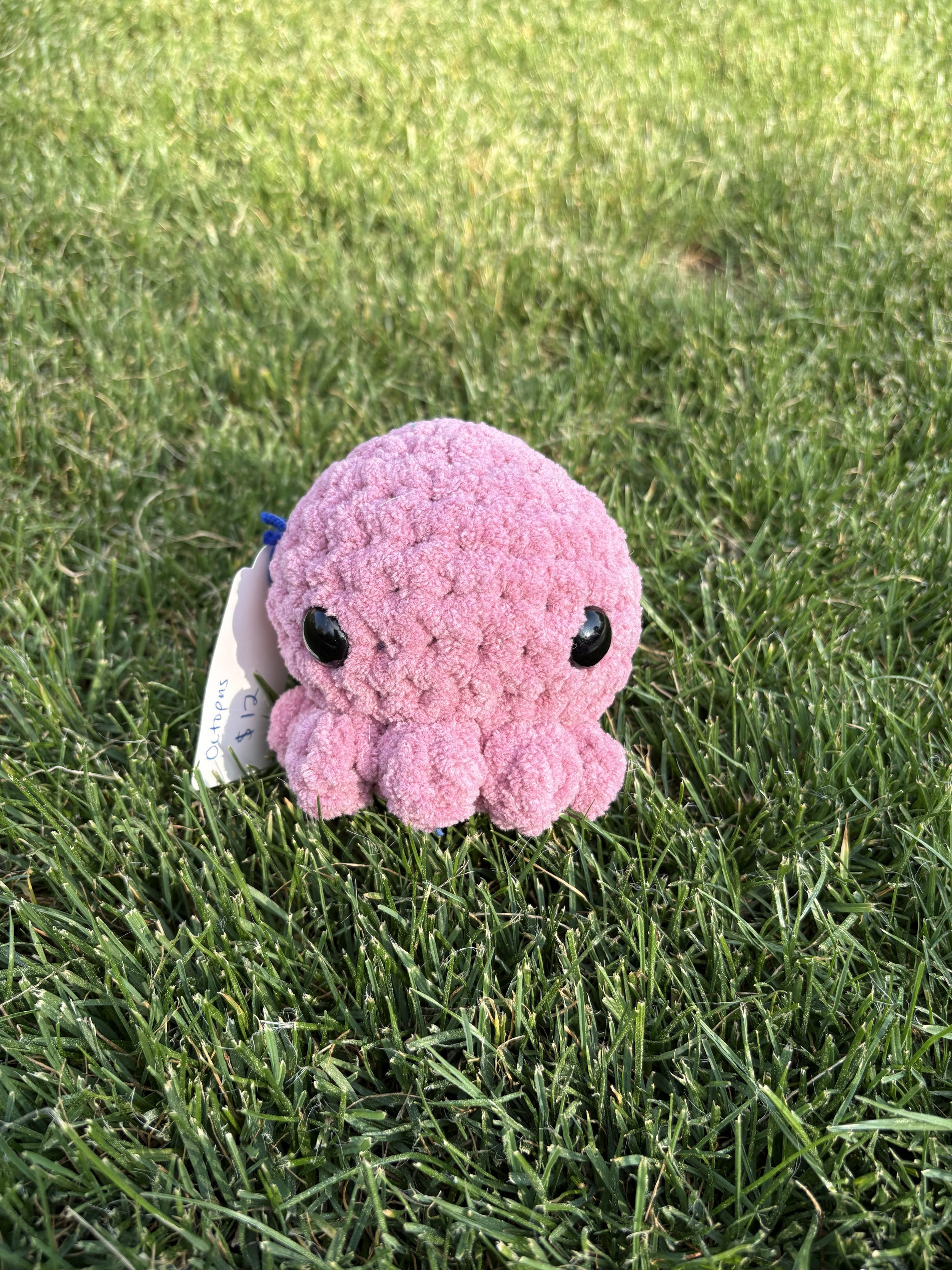 Round Octopus 3.jpeg