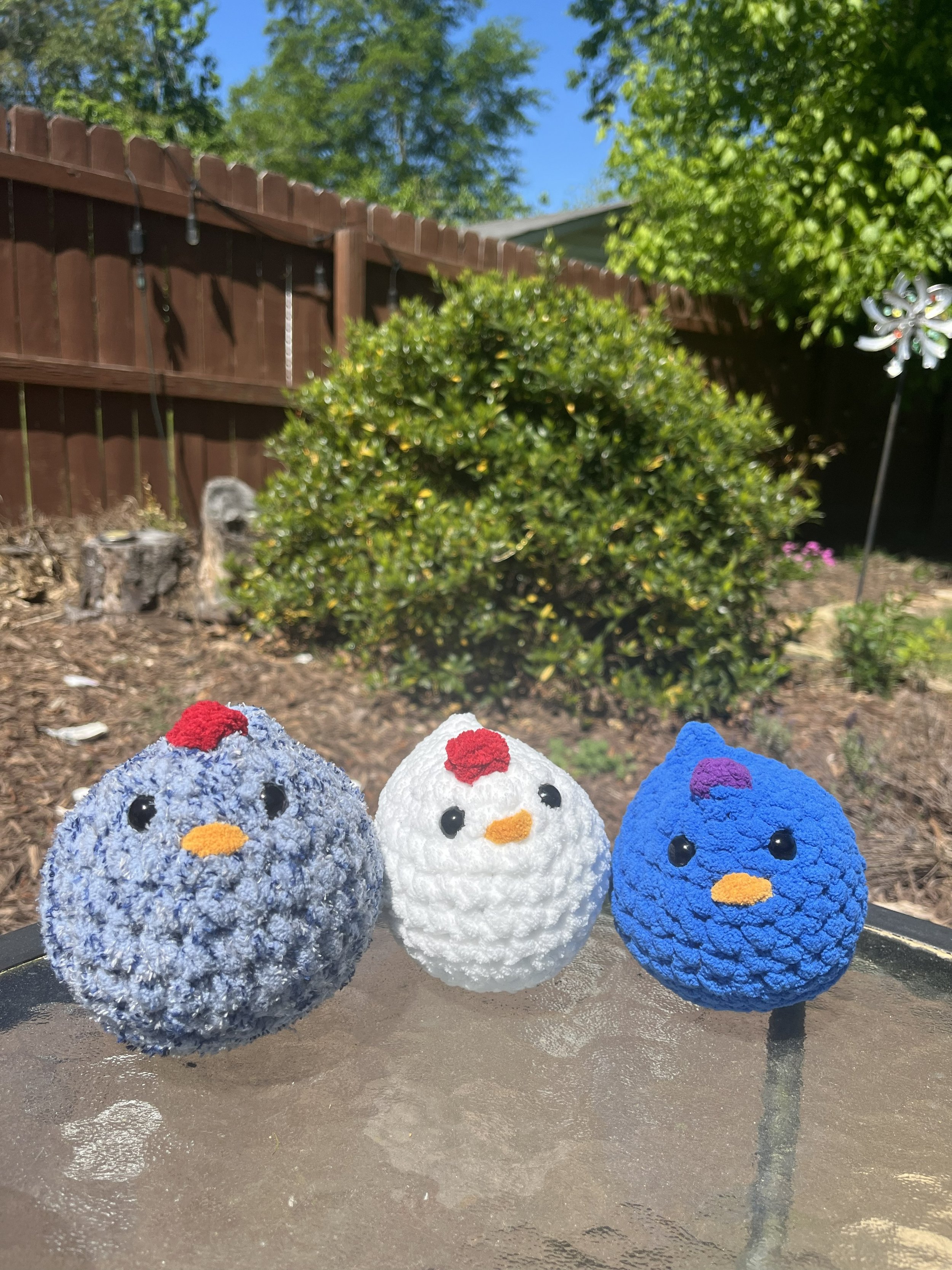 Chicken Friend 1.jpeg