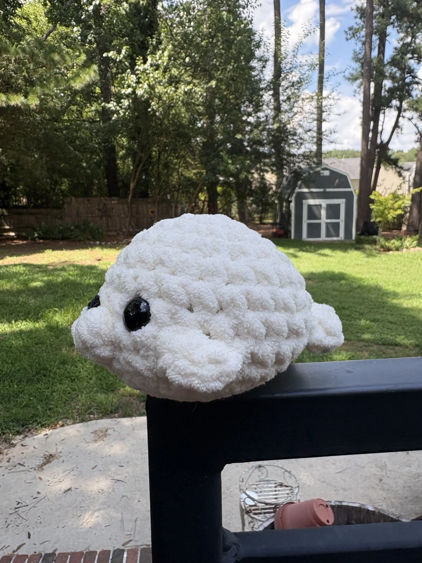 Seal Buddy
