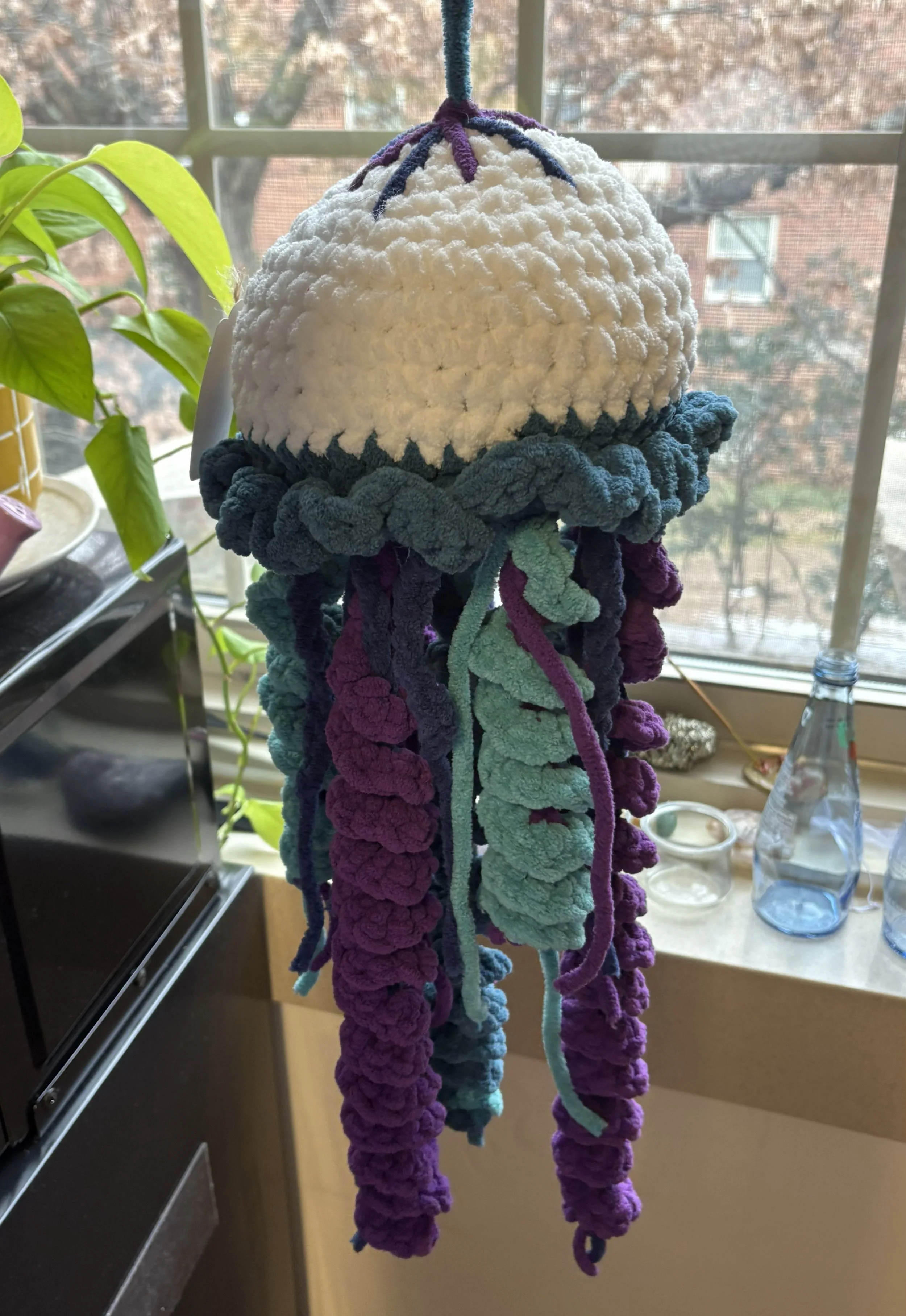 Big Jellyfish 2.jpeg