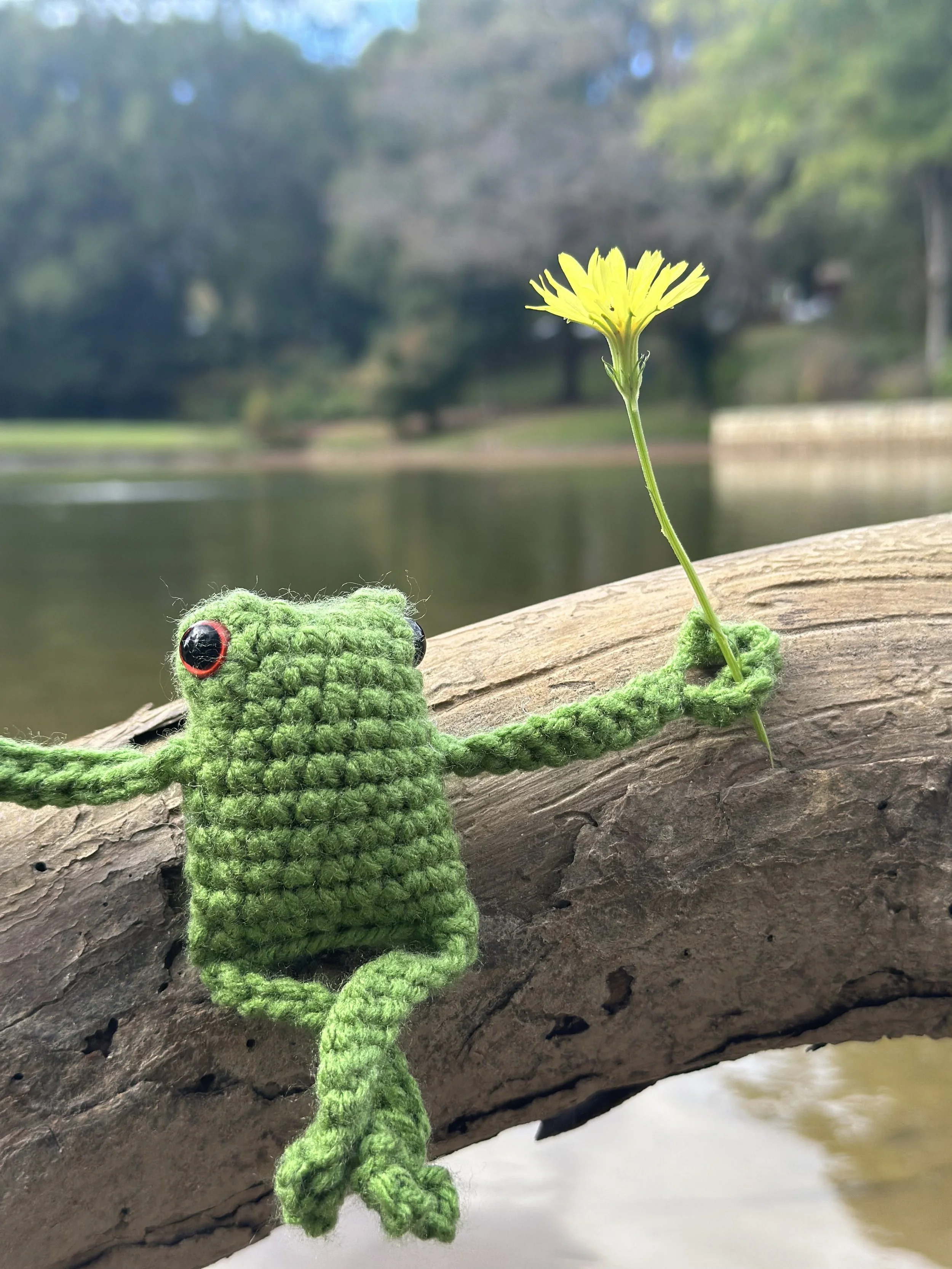 HSG Mini Frog 2.jpeg