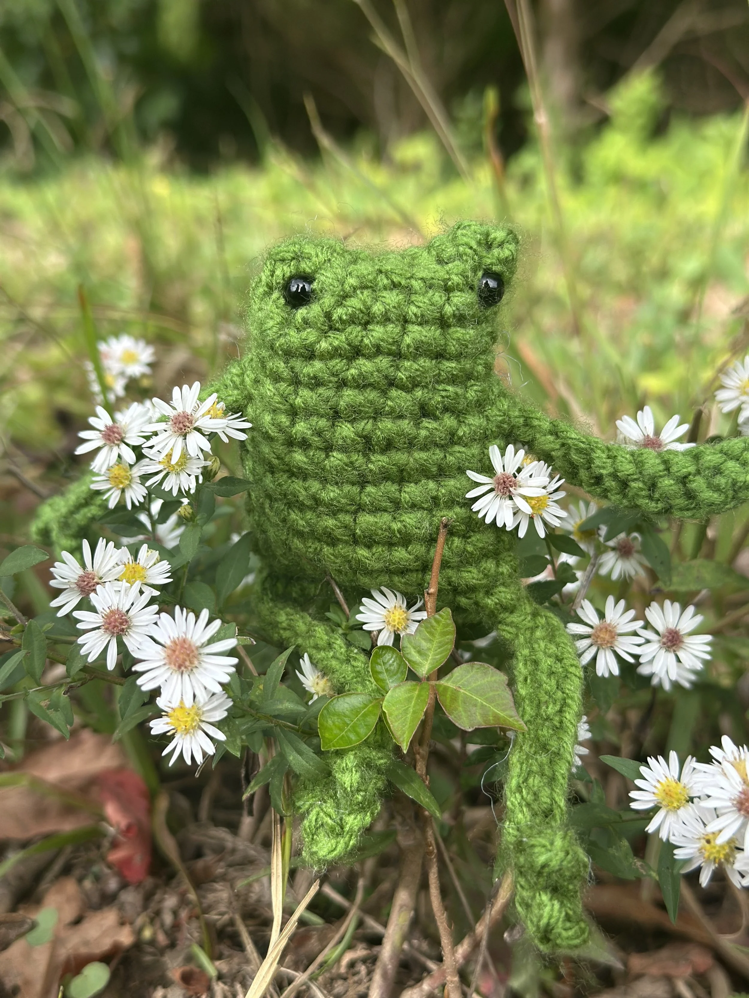 HSG Mini Frog 1.jpeg