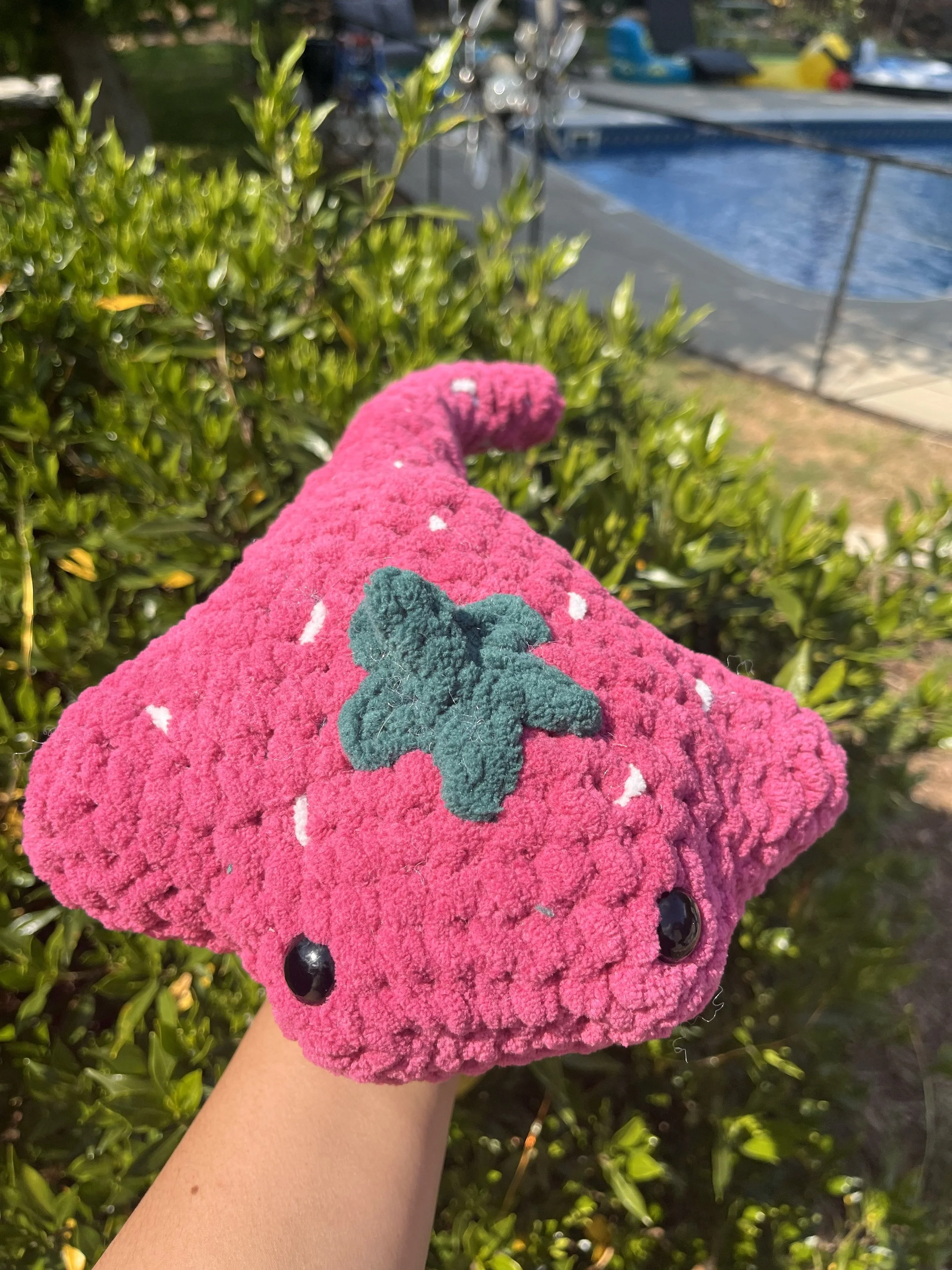 Strawberry Stingray 1.jpg