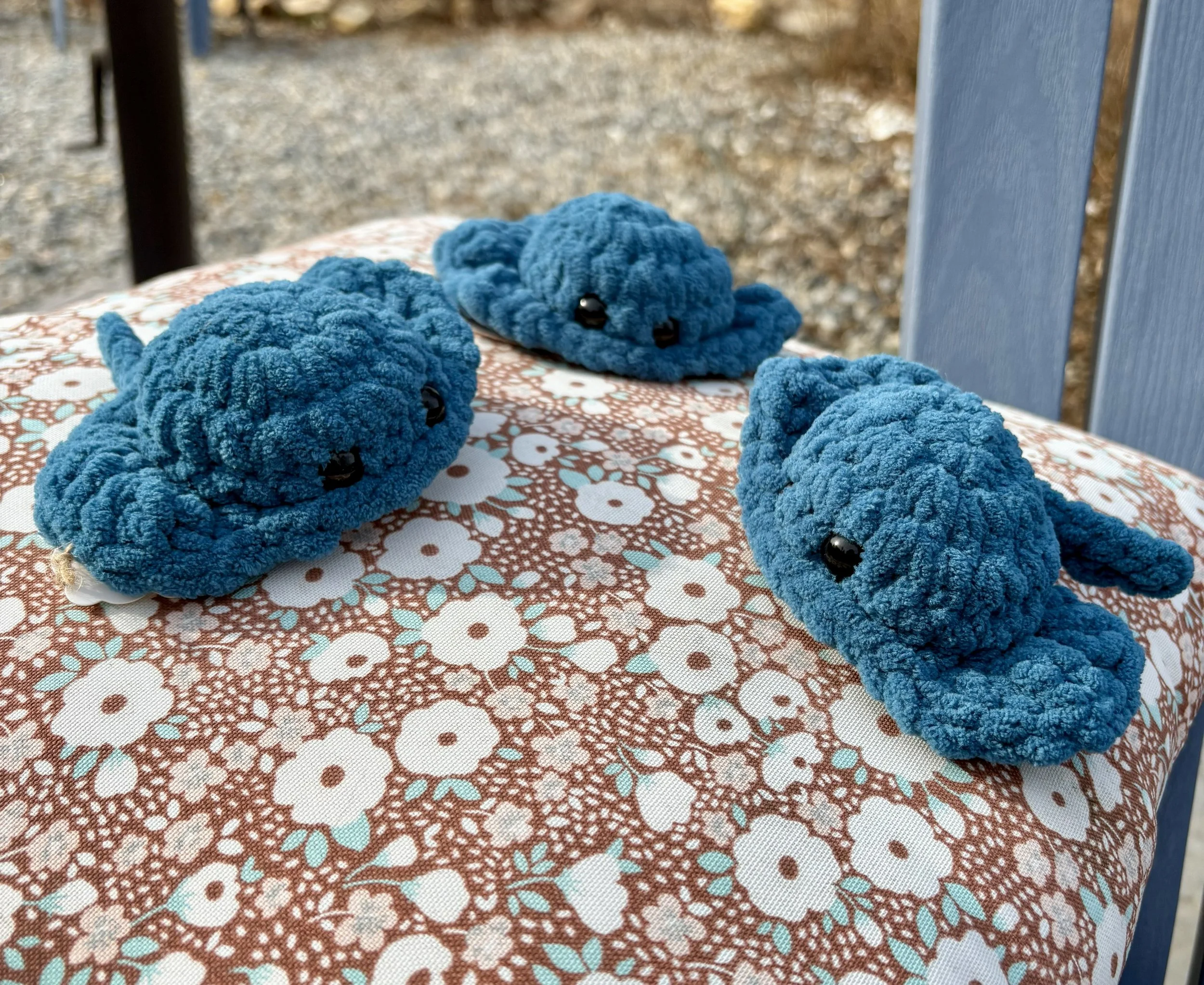 Stingray Buddy 2.jpg