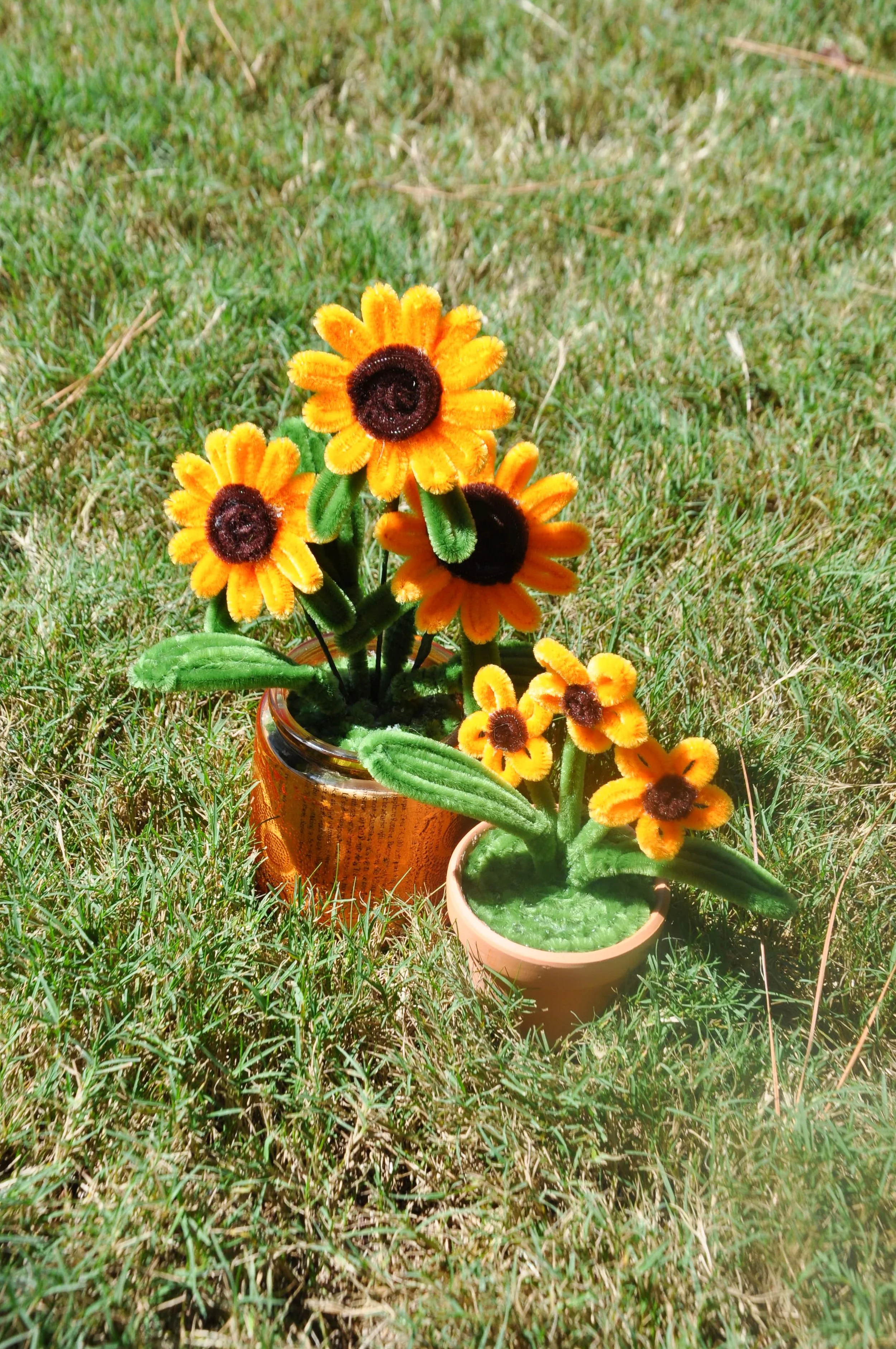 Sunflowers in a Pot (Listing Thumbnail).jpg