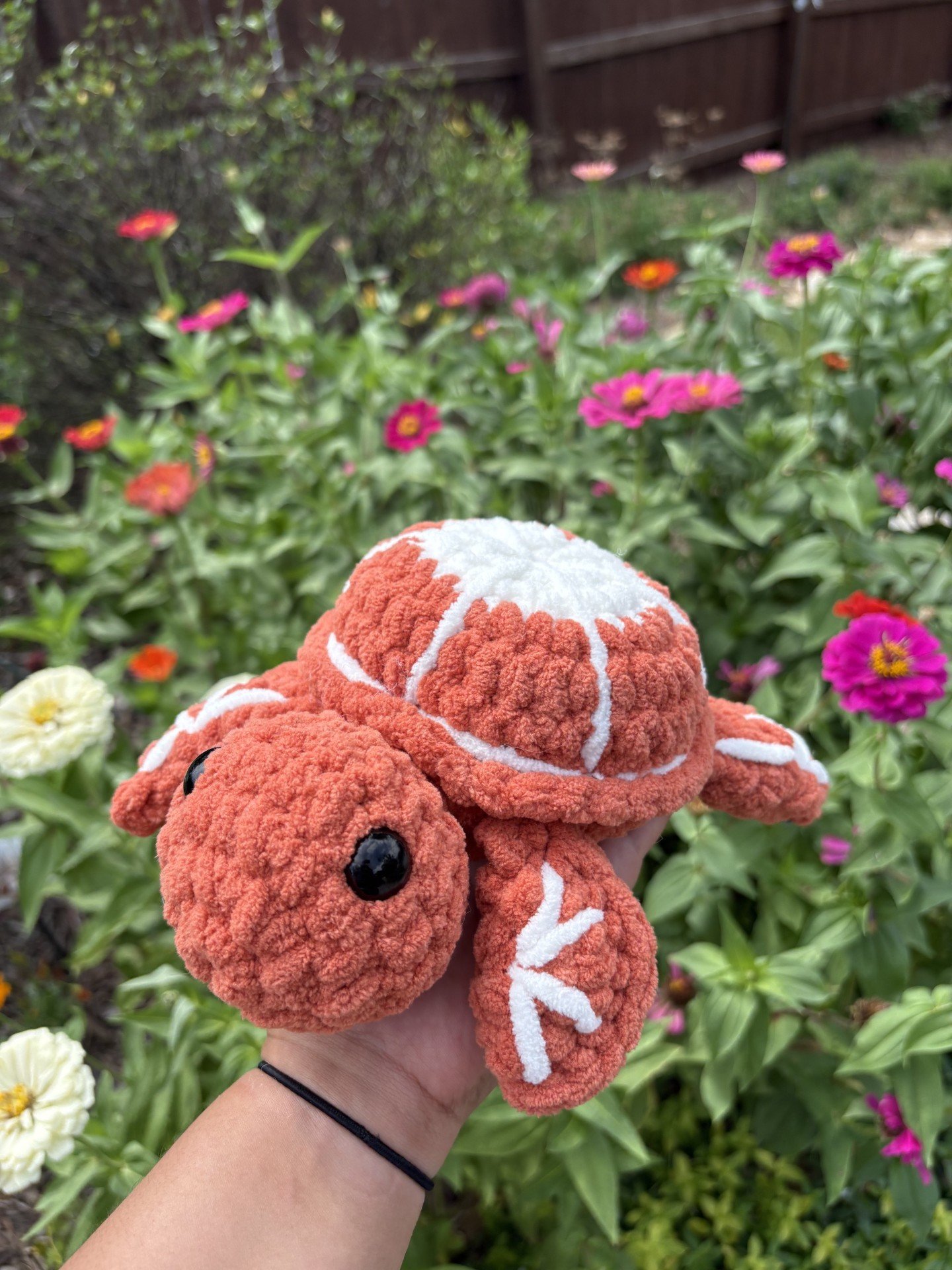 Orange Turtle 1.jpe