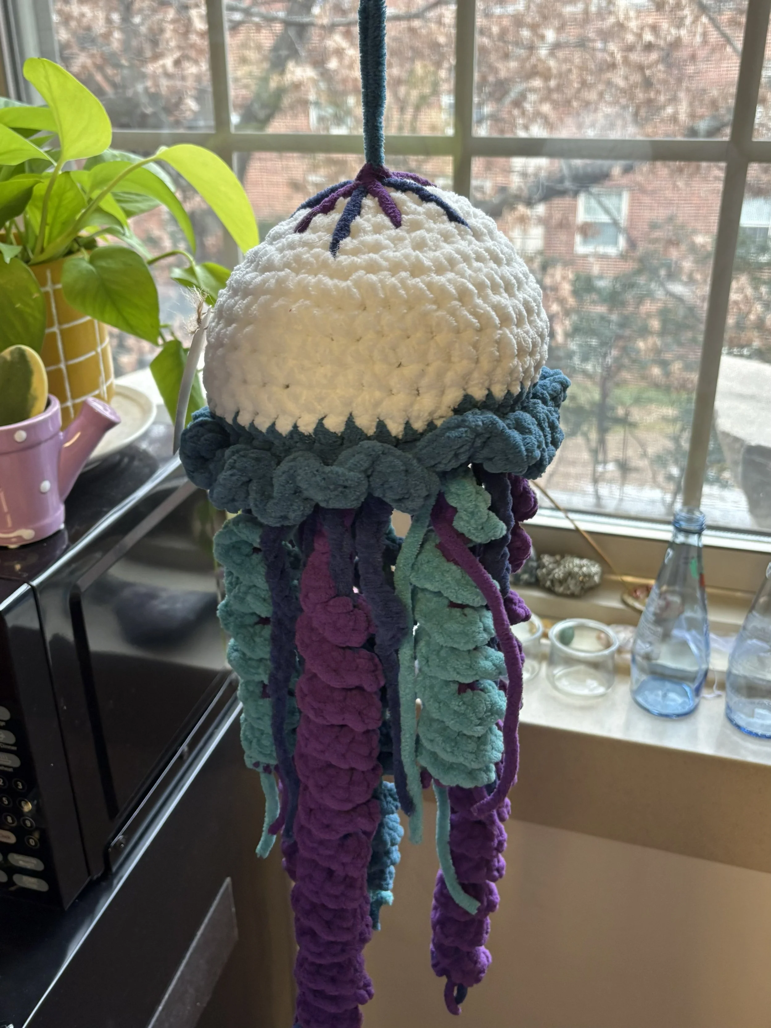 Big Jellyfish 1.jpeg