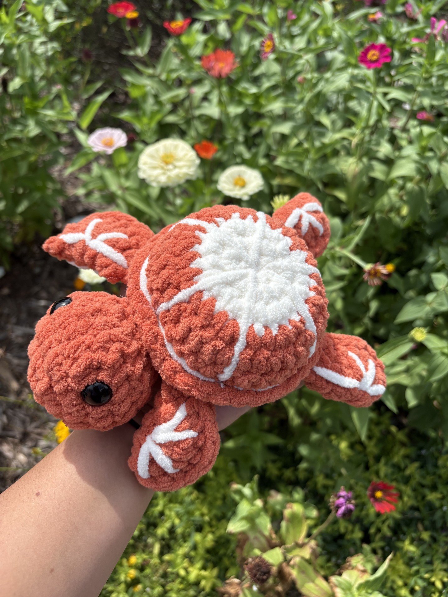 Orange Turtle 2.jpe