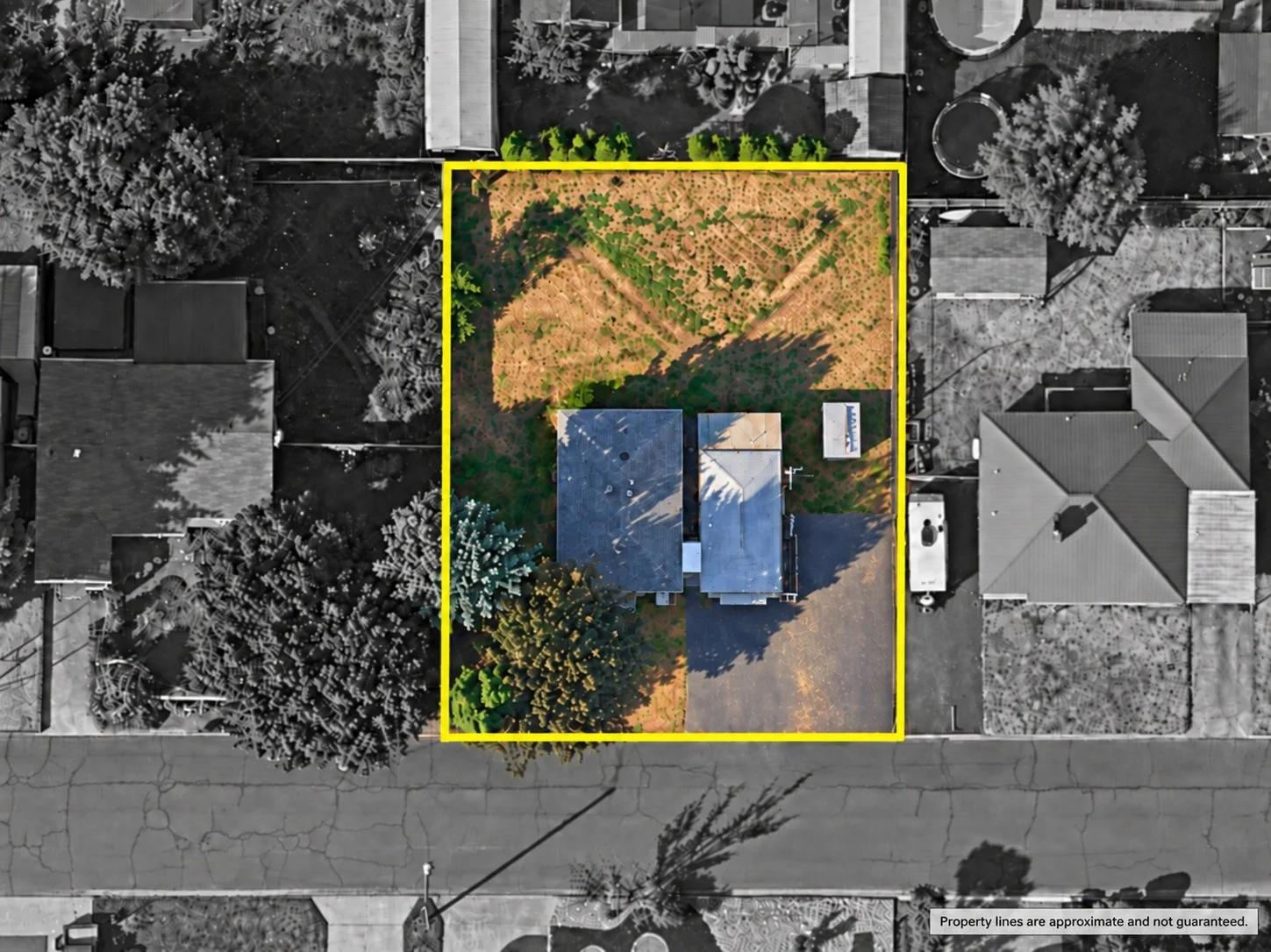 Aerial Map.jpg