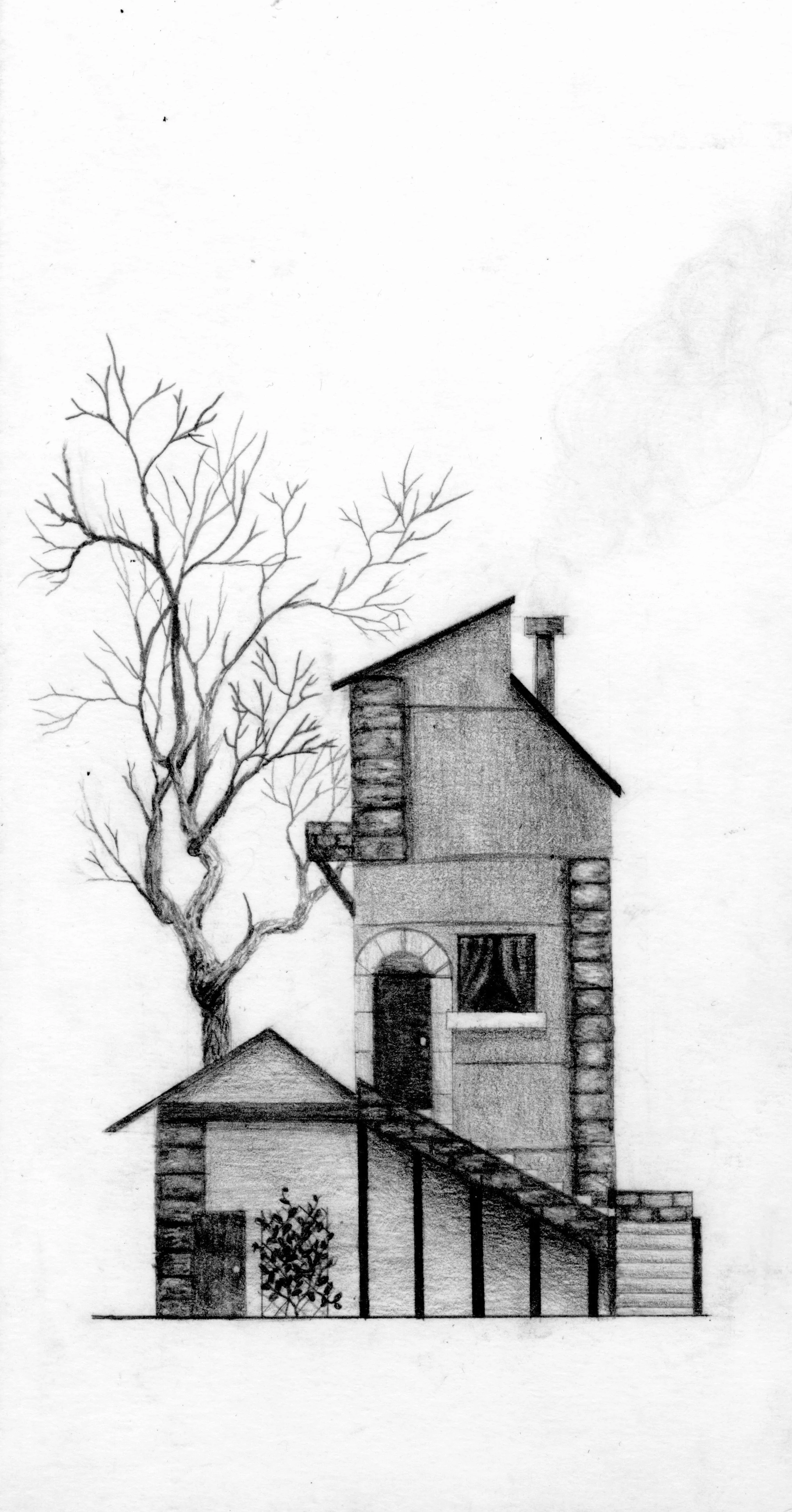 lamonte02- 01.28.19.jpg