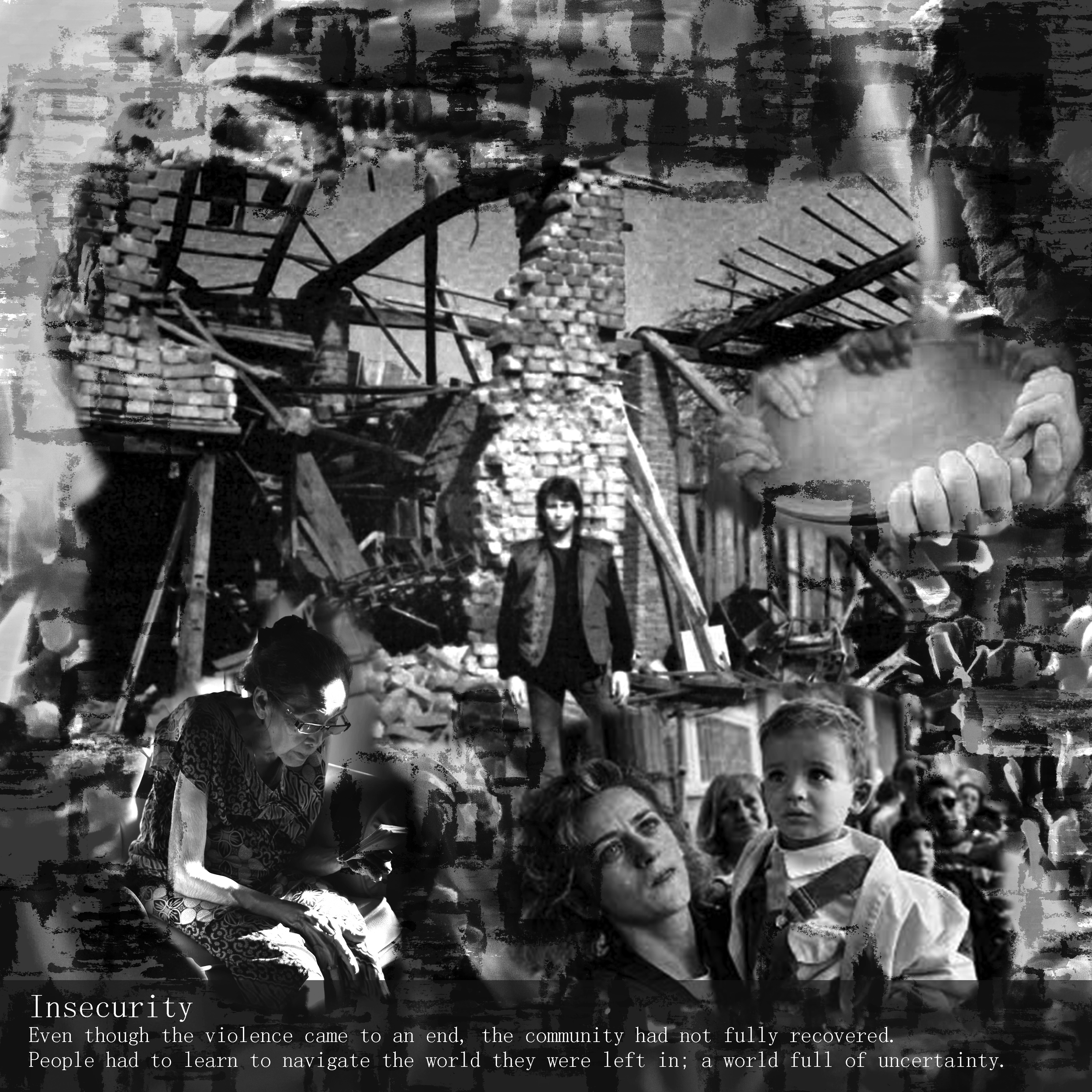 Insecurity Collage 3.0.png