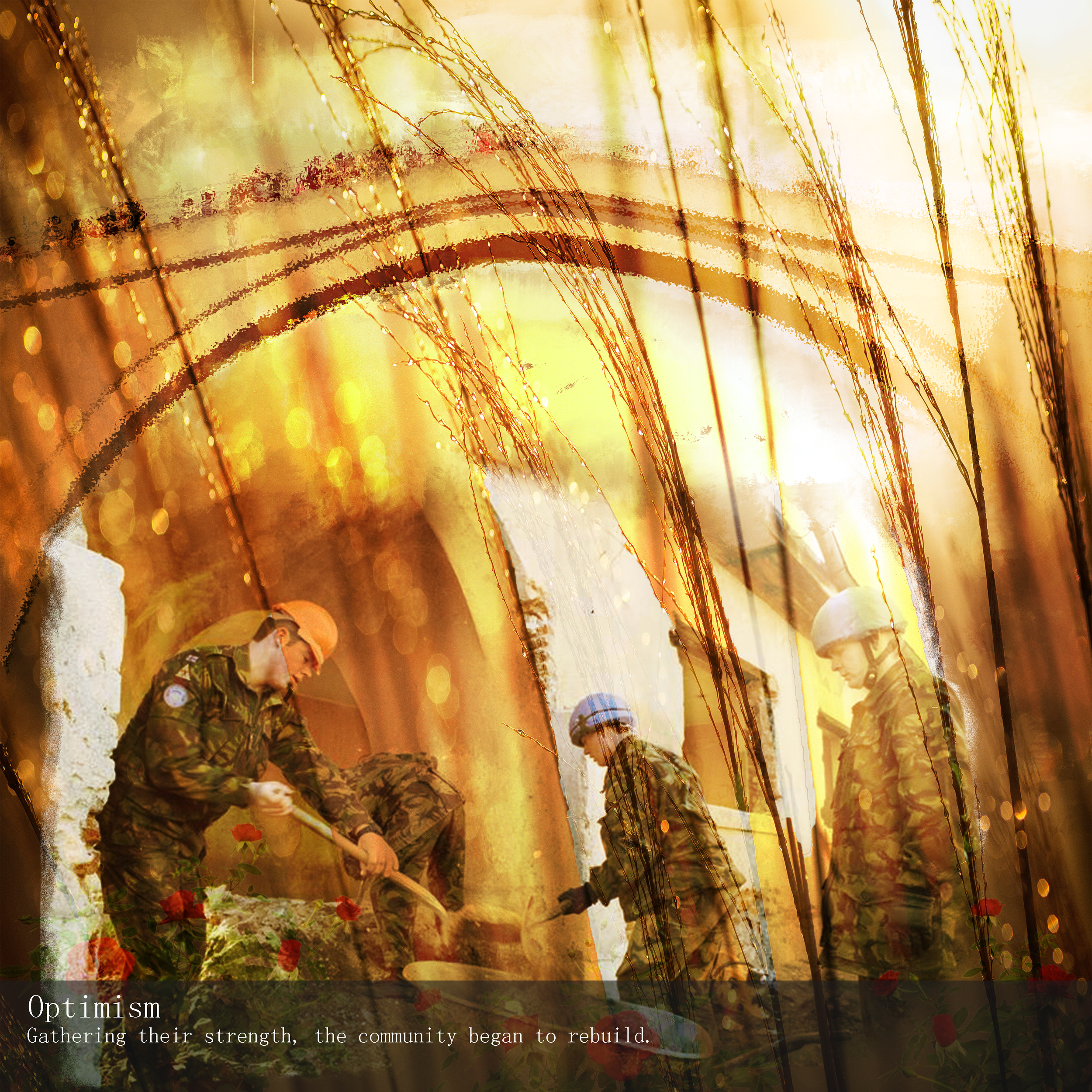 Optimism Collage 3.0.png