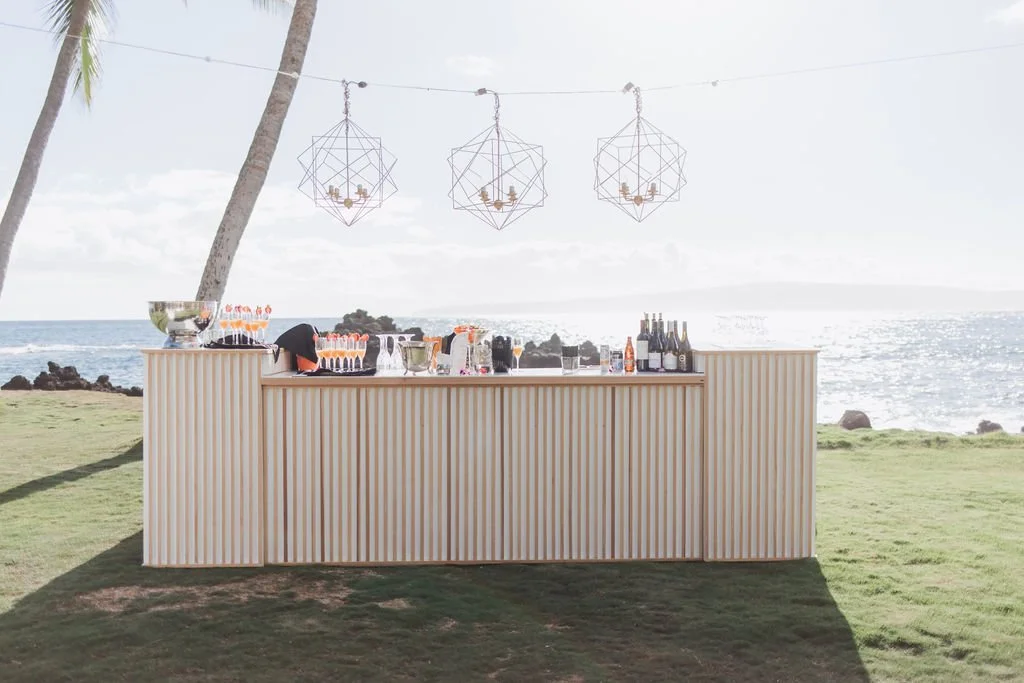 A wood-paneled bar on a grassy lawn beside palm trees and the blue ocean