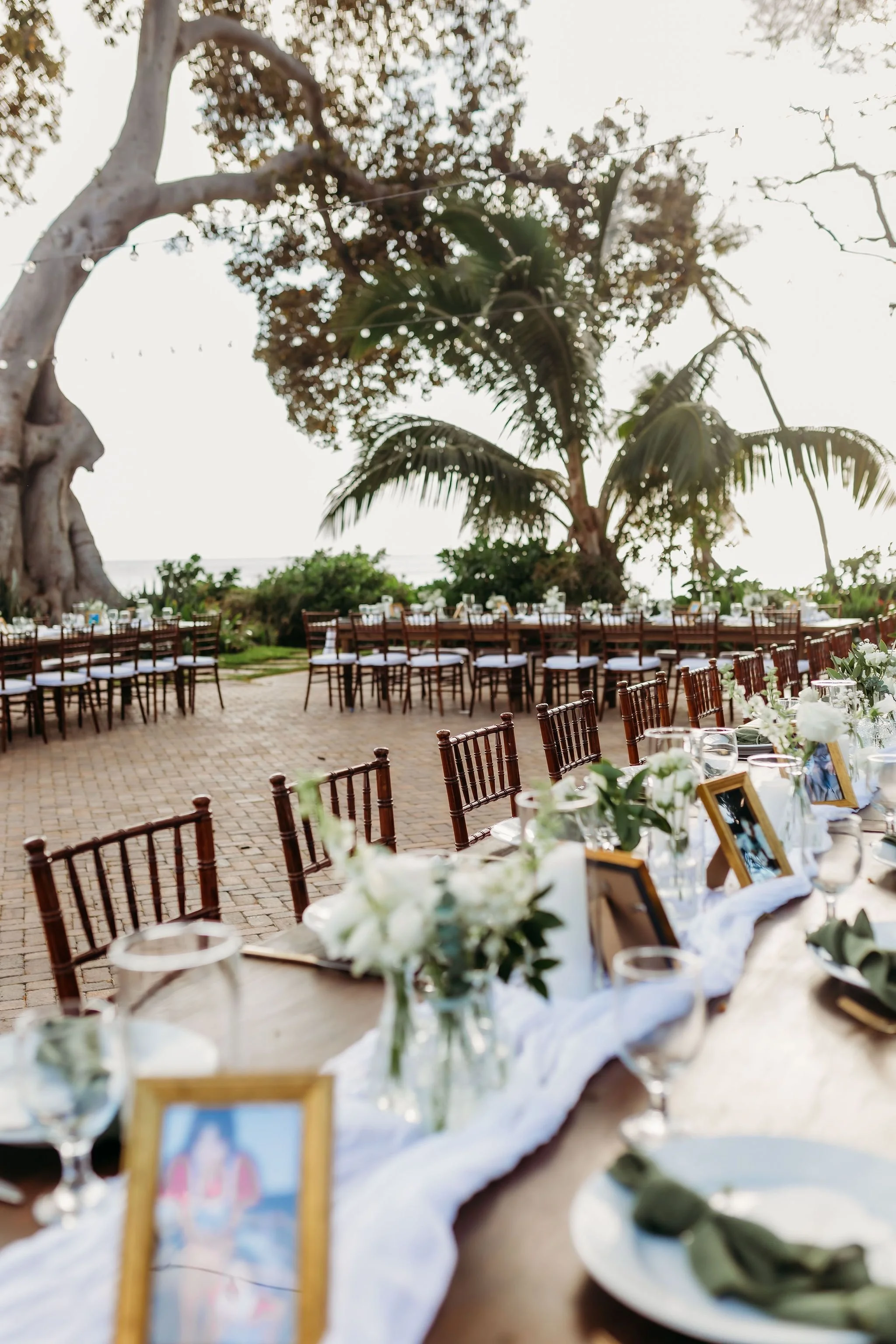 A courtyard wedding reception surrounded by green trees.