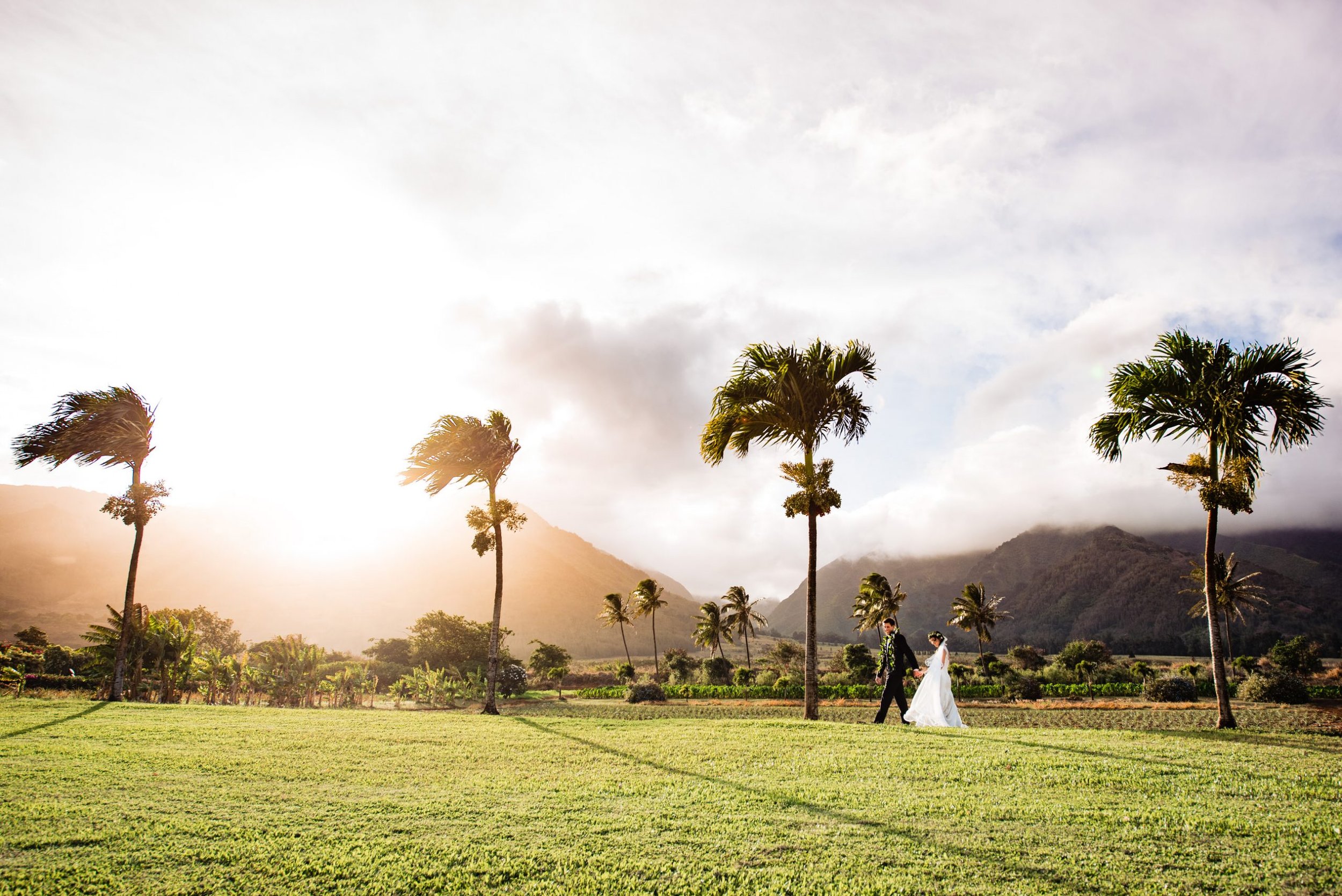 A bride and groom walking across a lush green field against a view of towering palm trees and the West Maui Mountains.