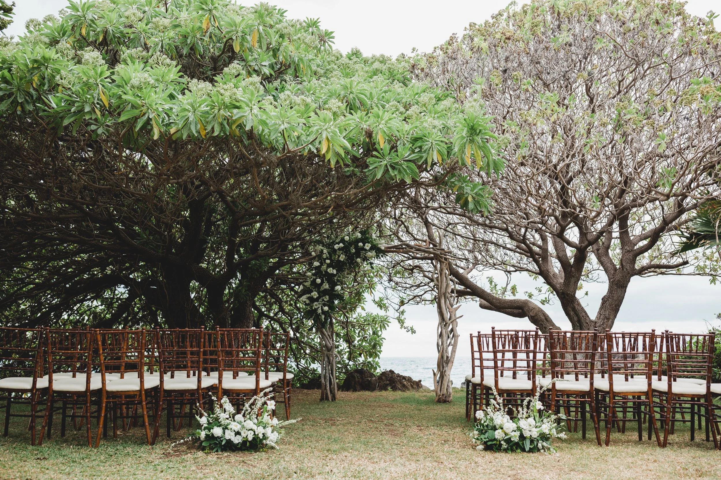 An outdoor wedding on the grass, nestled in a small grove of trees