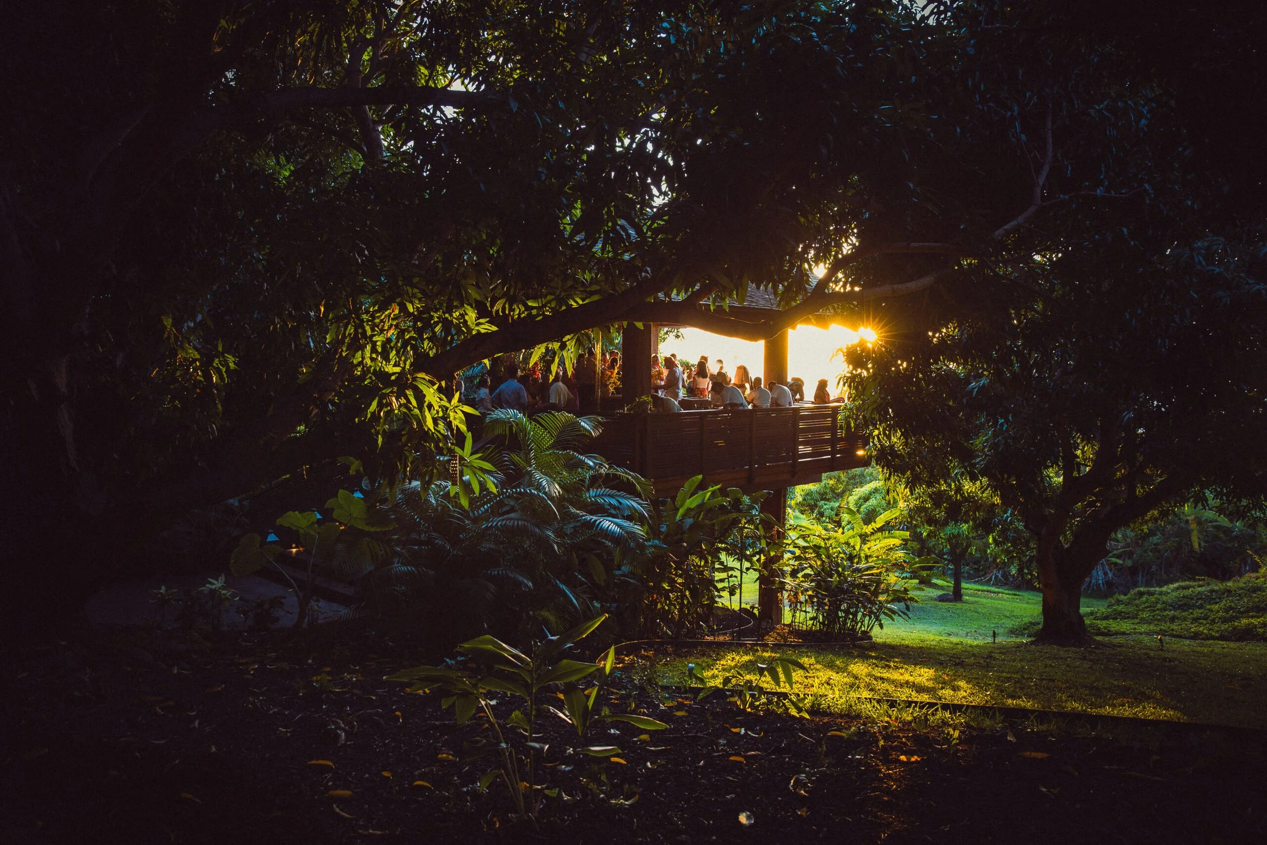A treehouse-like structure in a lush tropical outdoor setting with the sun setting in the distance
