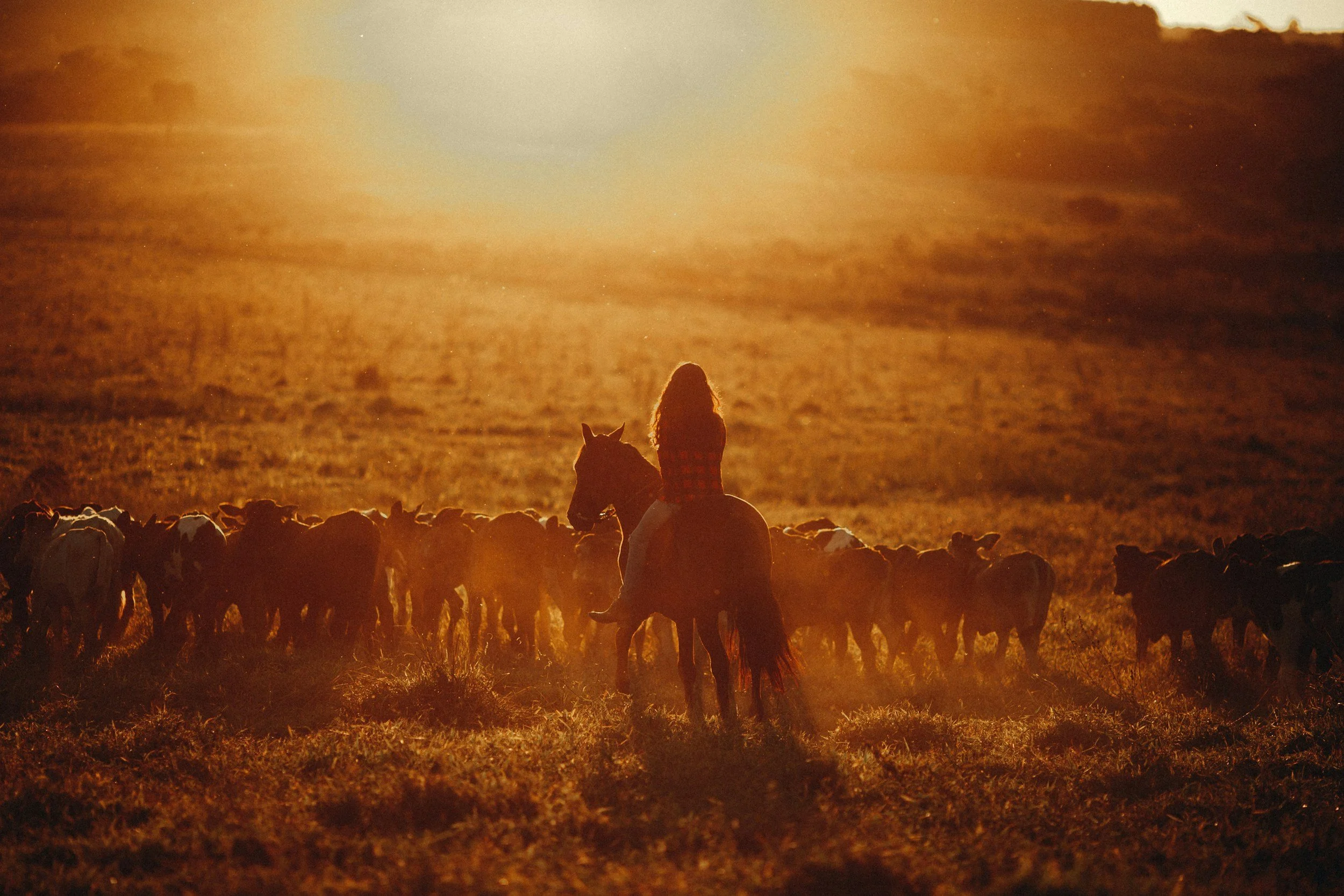 Mother“Herd”