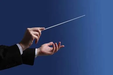 Understanding the Symphony: What to Know About Movements, Concertos, and Overtures