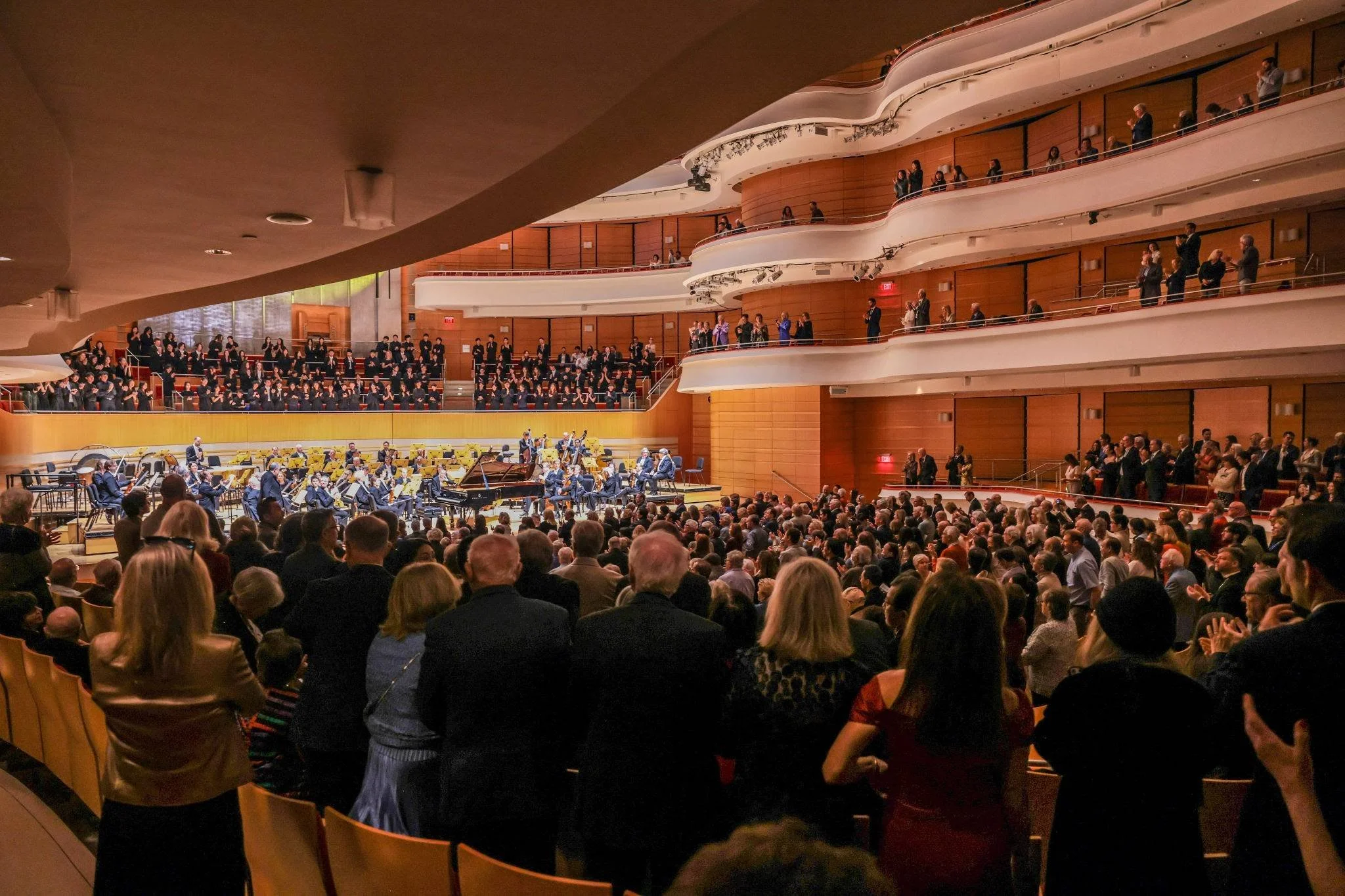 What Should You Expect at Your First Orchestra Performance?