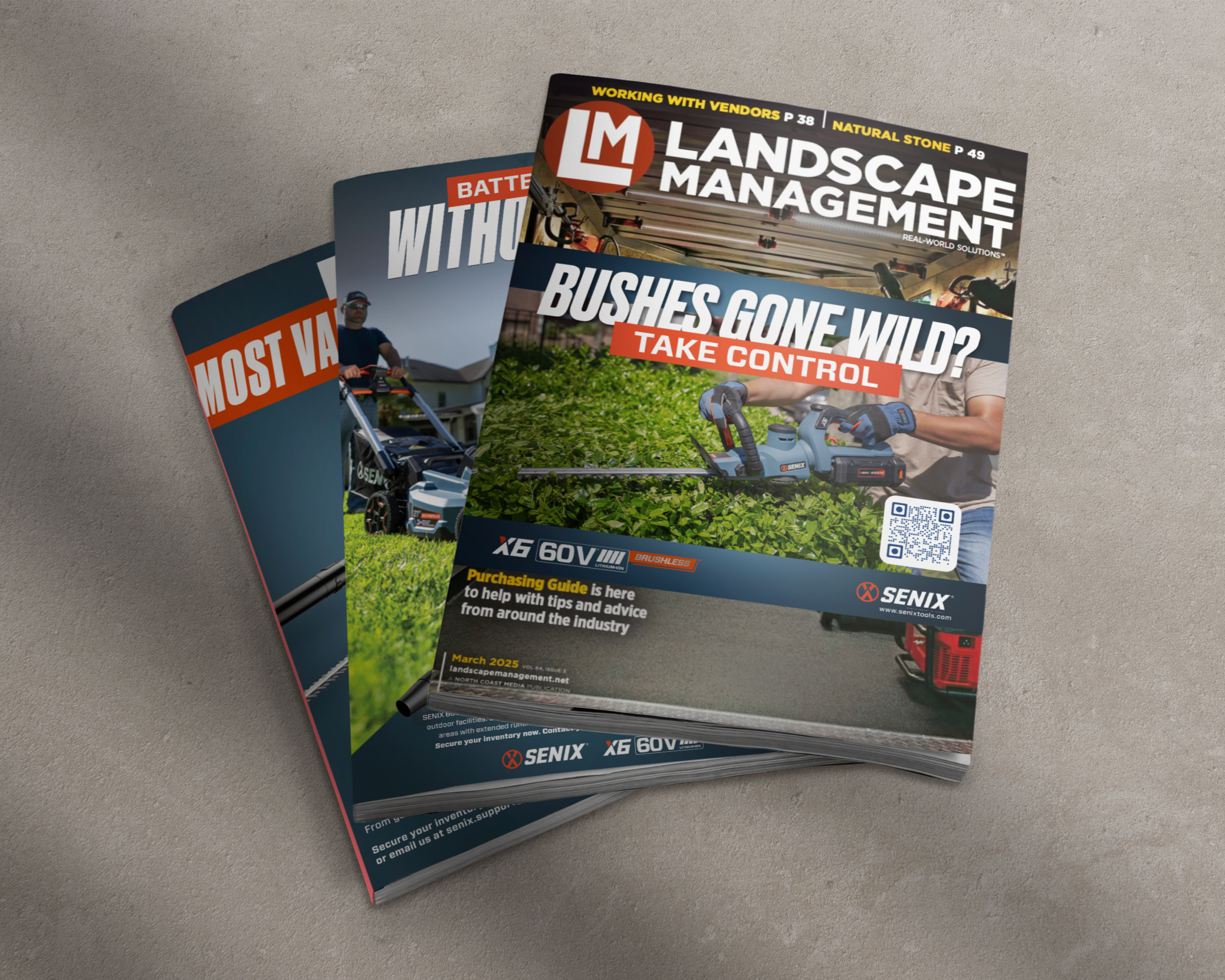 Three_Magazines_Mockup.png