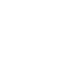 DAY IN DAY OUT