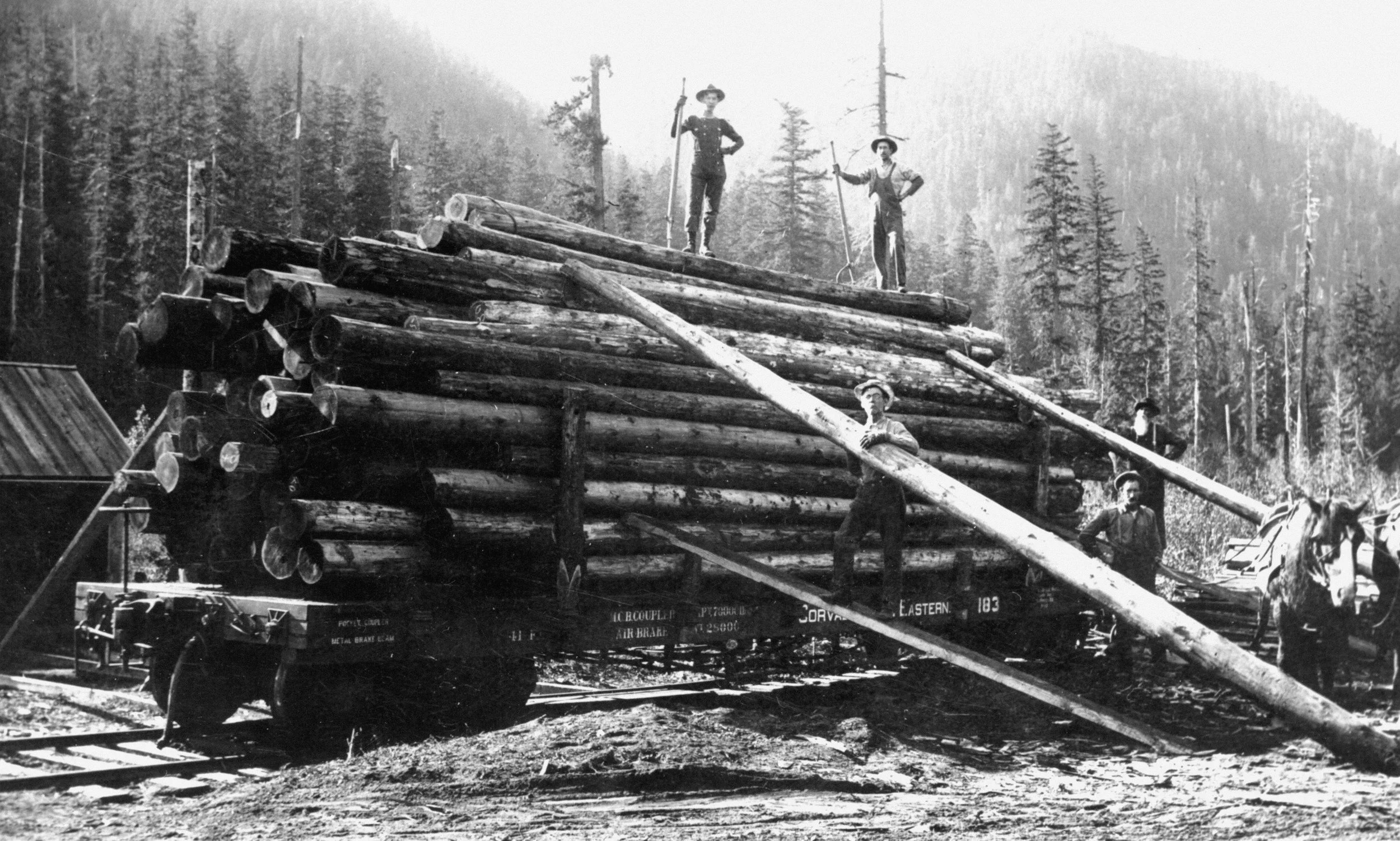 Historical black-and-white photograph of men harvesting logs and loading them onto a flatbed truck on railroad tracks in a forest.