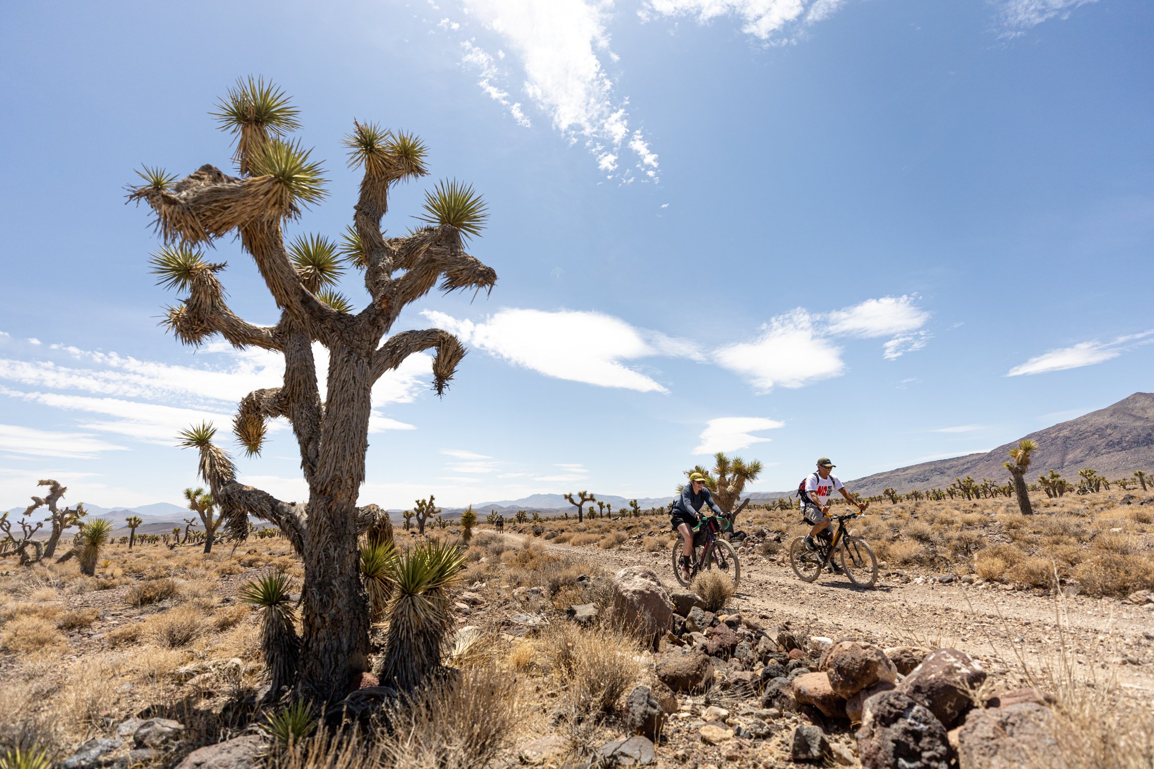 2212_NHCM_bikepacking_1912.jpg