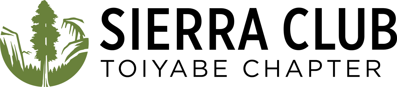 Green tree logo with text 'REI' and the slogan 'The Best Retailer for Outdoor Lovers'