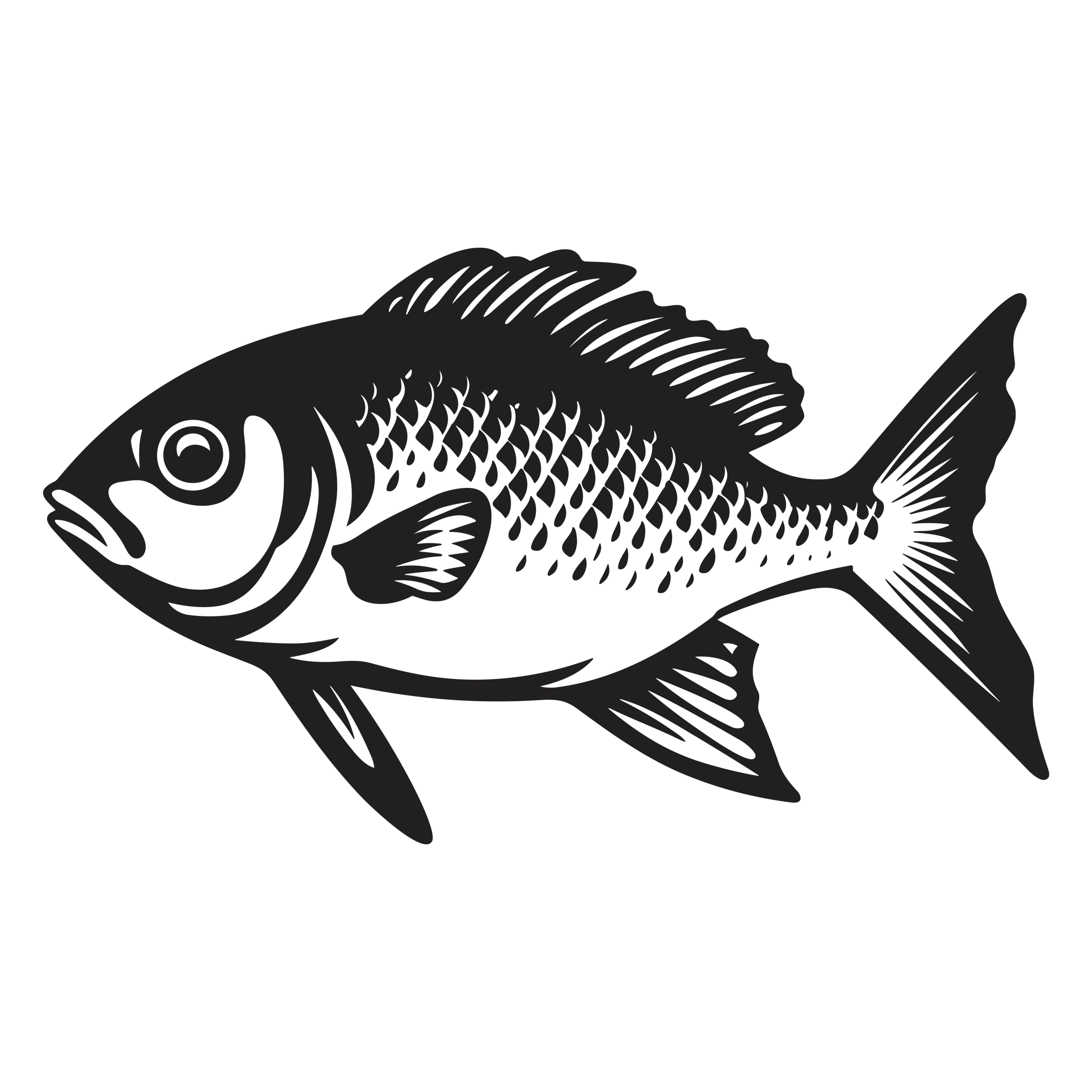 Illustration of a fish against a black background.
