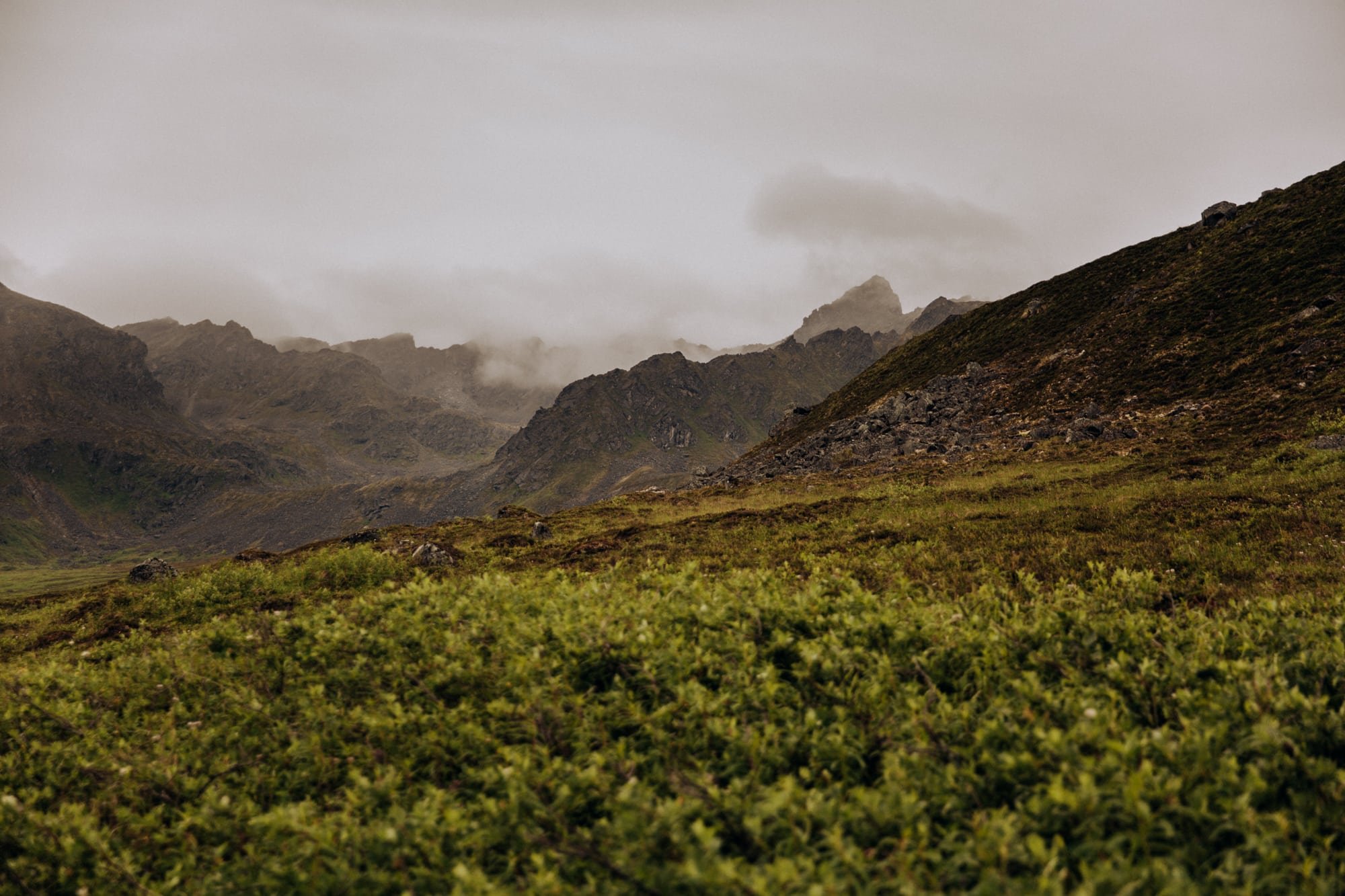 Alaska-hiking-hatcher-pass-Narrowleaf_Love_and_Adventure-elopement-Photography-13.jpg.jpg