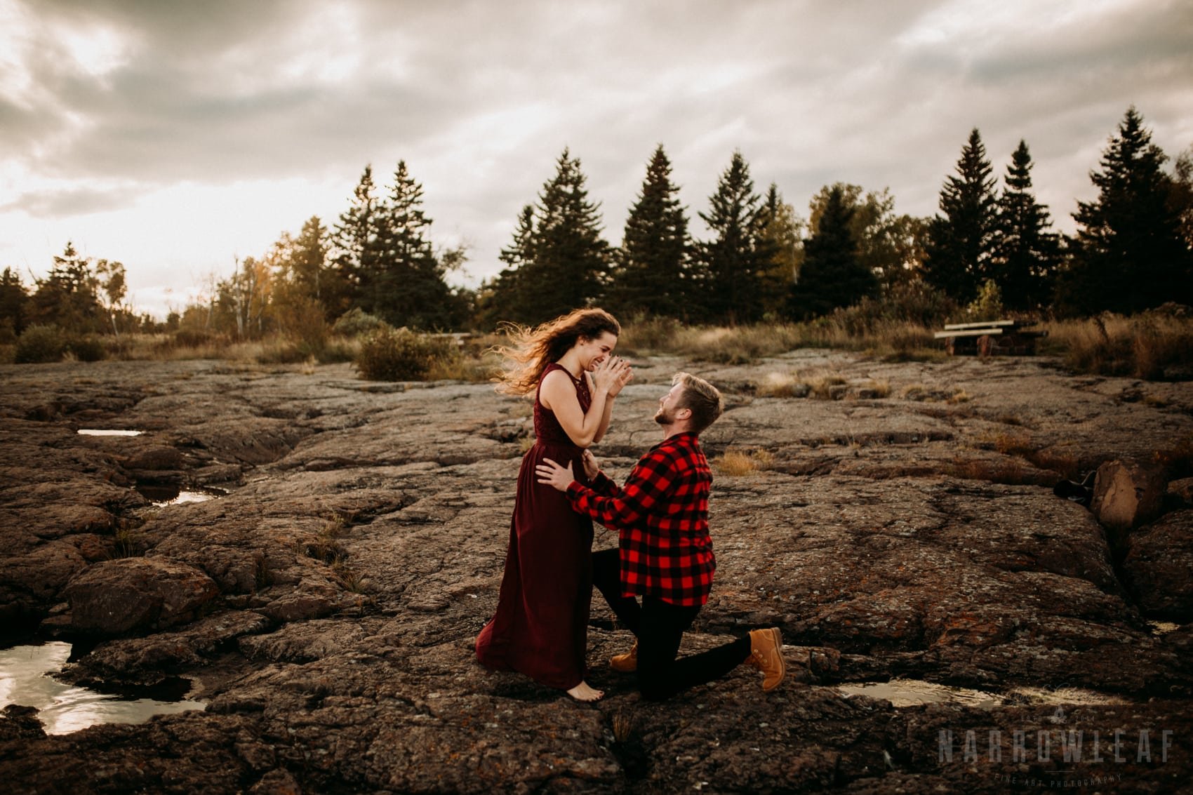 Surprise Proposal on the North Shore.jpg