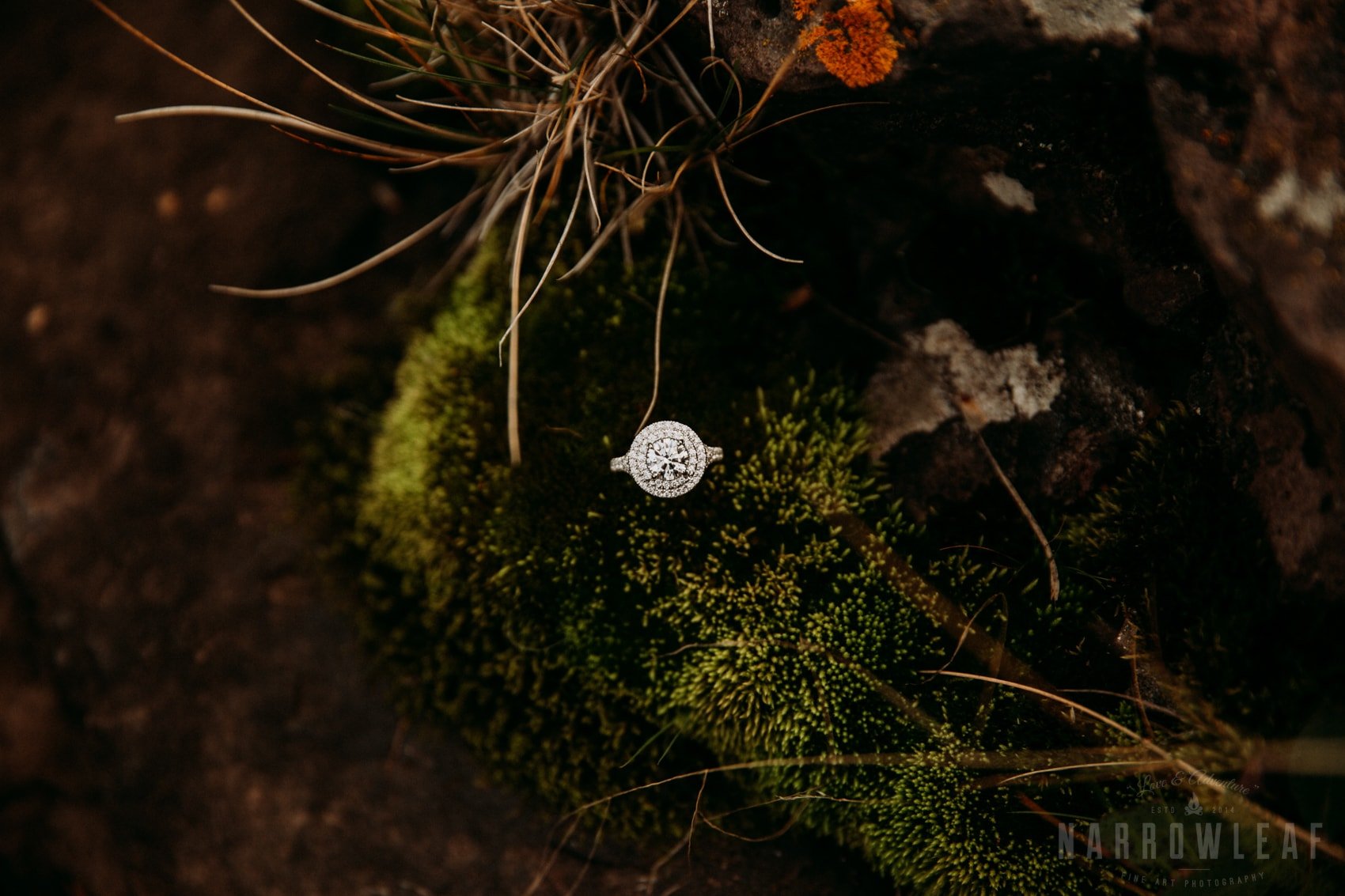 wild-adventure-engagement-photos-gooseberry-falls-two-harbors-mn-NarrowLeaf-Photography-71.jpg.jpg