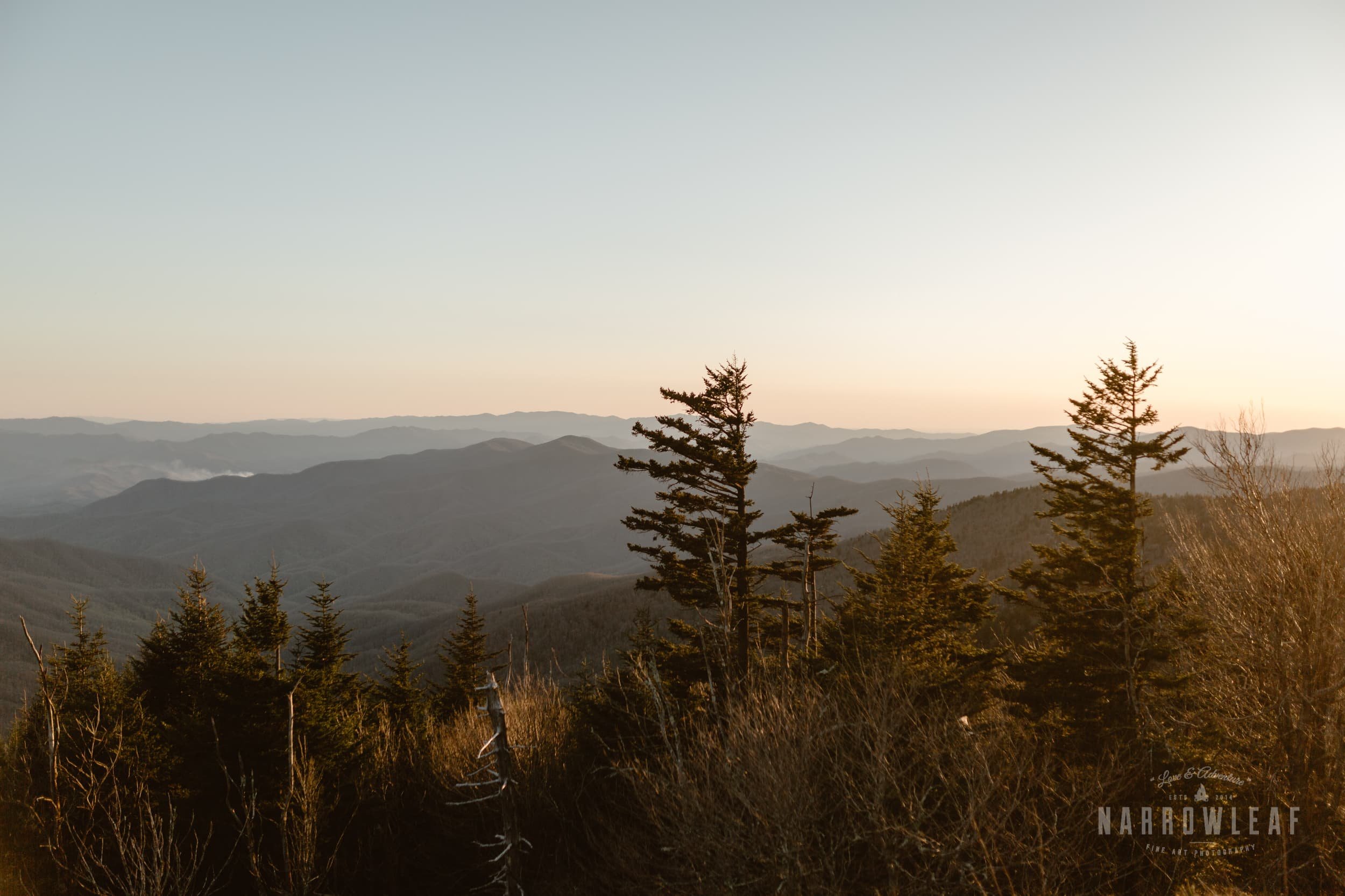 Newfound-Gap-Tenneessee-elopement-photographer-Narrowleaf_Love_and_Adventure_Photography-9398.jpg.jpg