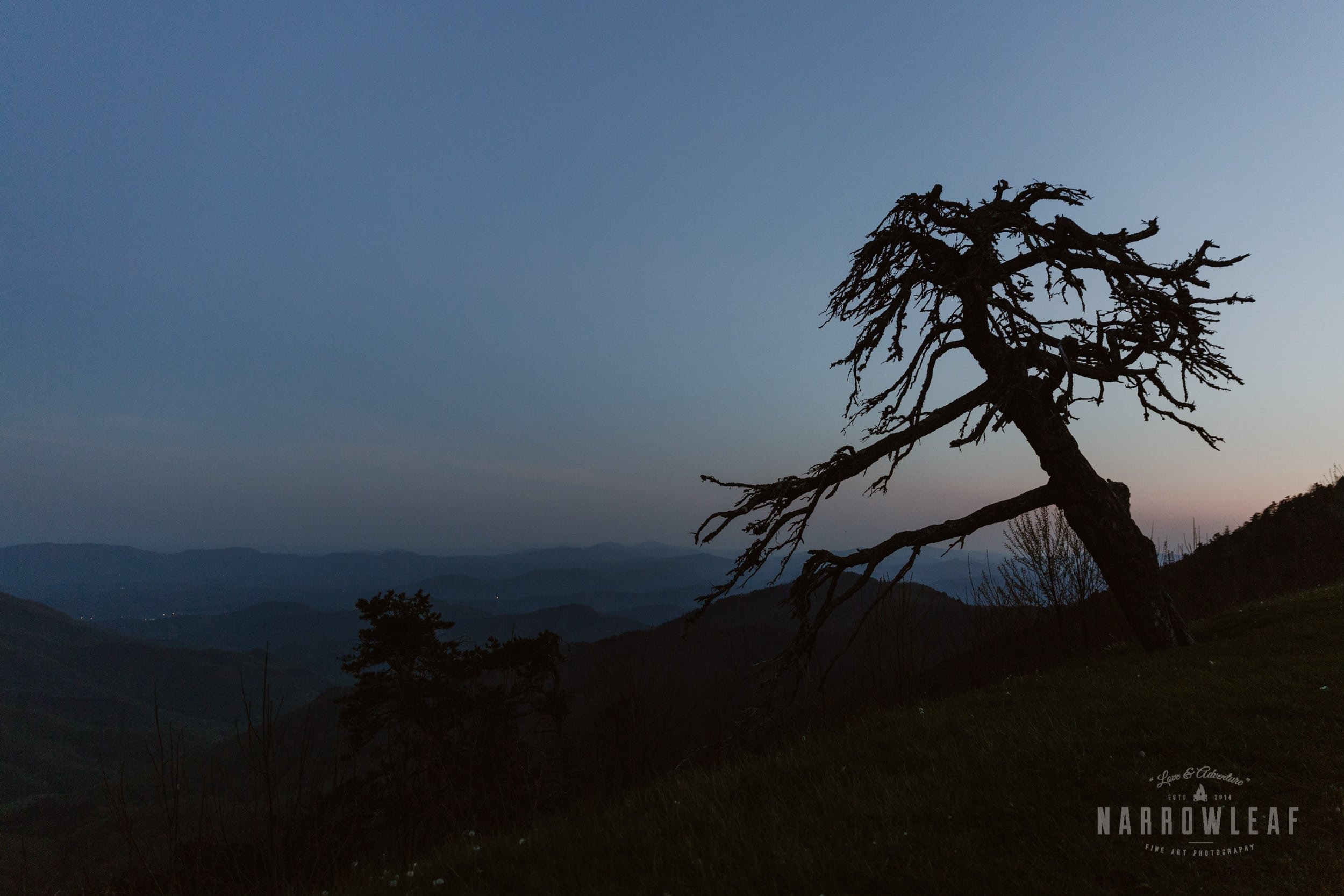 Blue-Ridge-mountains-North-Carolina-elopement-photographer-Narrowleaf_Love_and_Adventure_Photography.jpg (9)_2.jpg