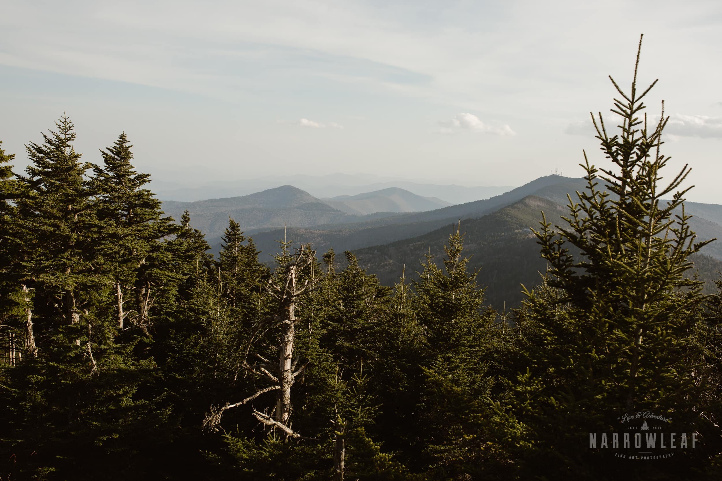 Blue-Ridge-mountains-North-Carolina-elopement-photographer-Narrowleaf_Love_and_Adventure_Photography.jpg_2.jpg