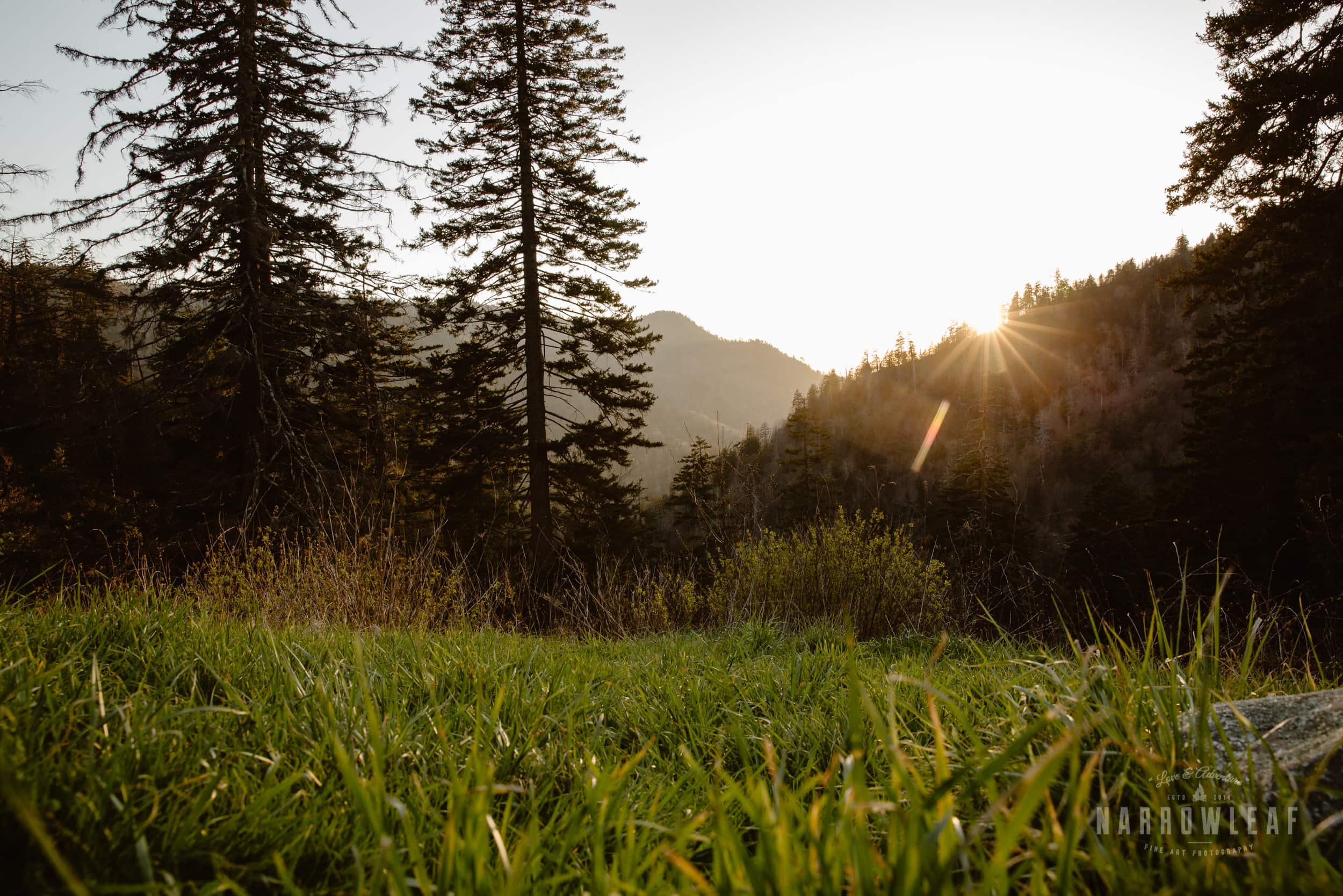 Blue-Ridge-Parkway-North-Carolina-elopement-photographer-Narrowleaf_Love_and_Adventure_Photography-0.jpg.jpg