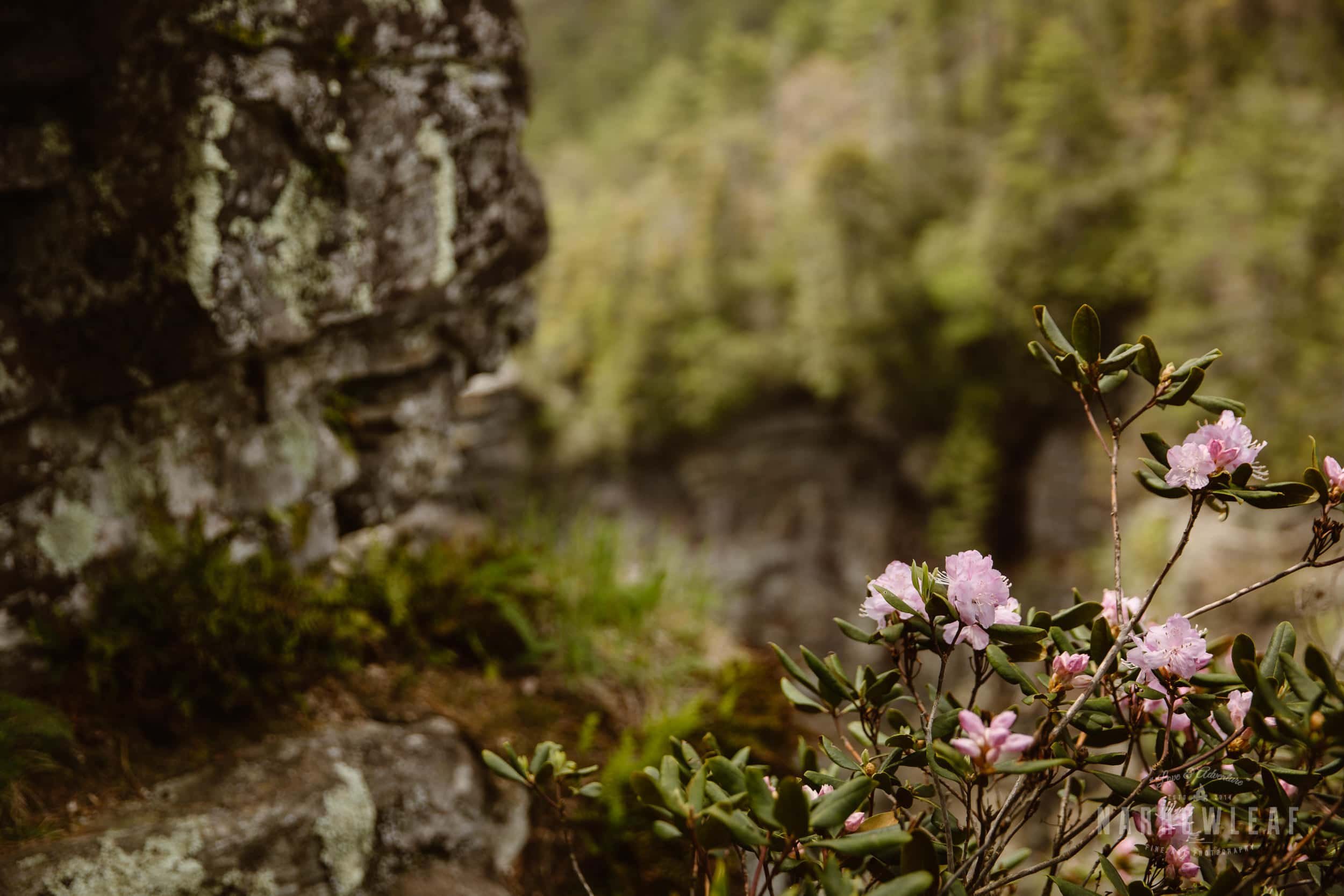 Hiking-Tennessee-waterfall-elopement-photographer-Narrowleaf_Love_and_Adventure_Photography-3088.jpg.jpg