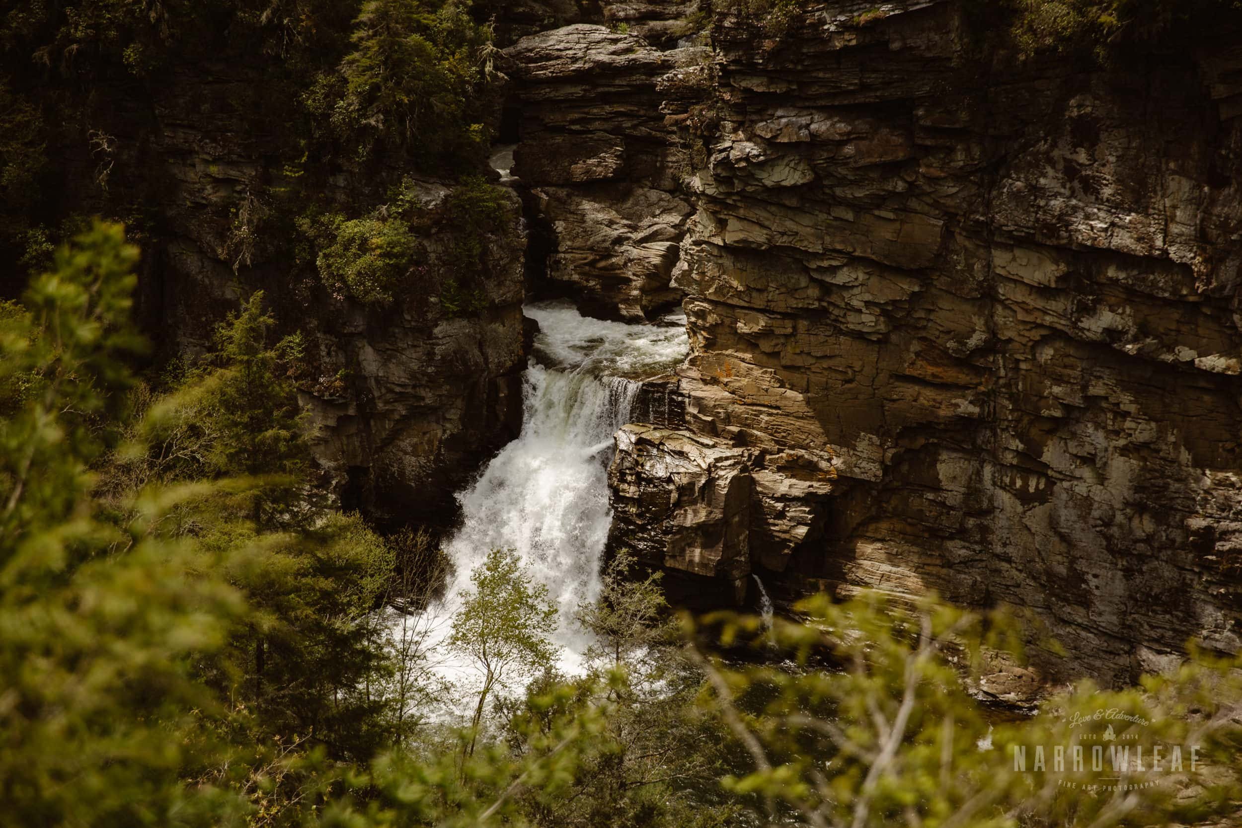 Hiking-Tennessee-waterfall-elopement-photographer-Narrowleaf_Love_and_Adventure_Photography-3067.jpg.jpg