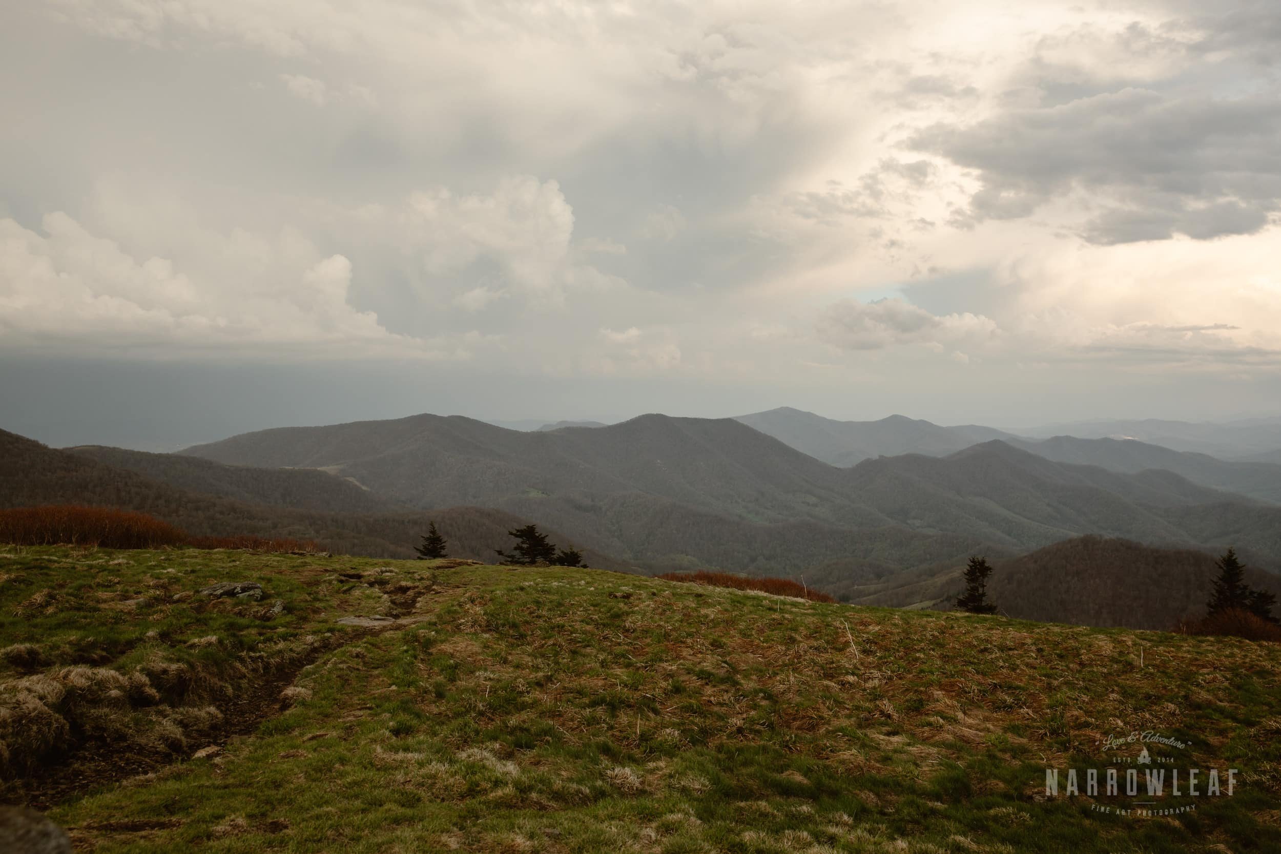 Hiking-Big-Bald-Mountain-Appalachian-Trail-in-Tennessee-Narrowleaf_Love_and_Adventure_Photography-33.jpg (3).jpg