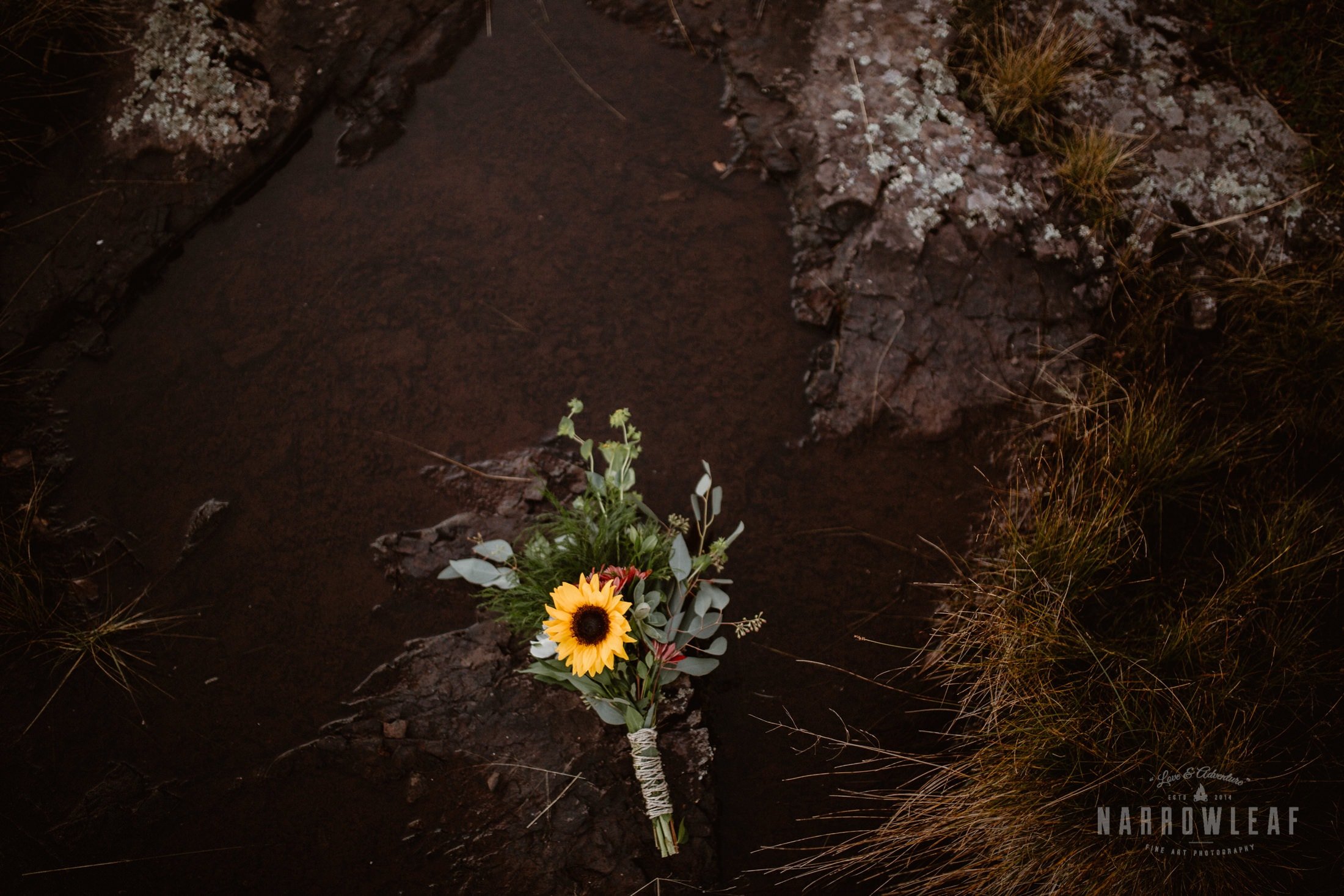 two-harbors-Elopement-photographer-Narrowleaf_Love_and_Adventure_Photography-2213.jpg.jpg