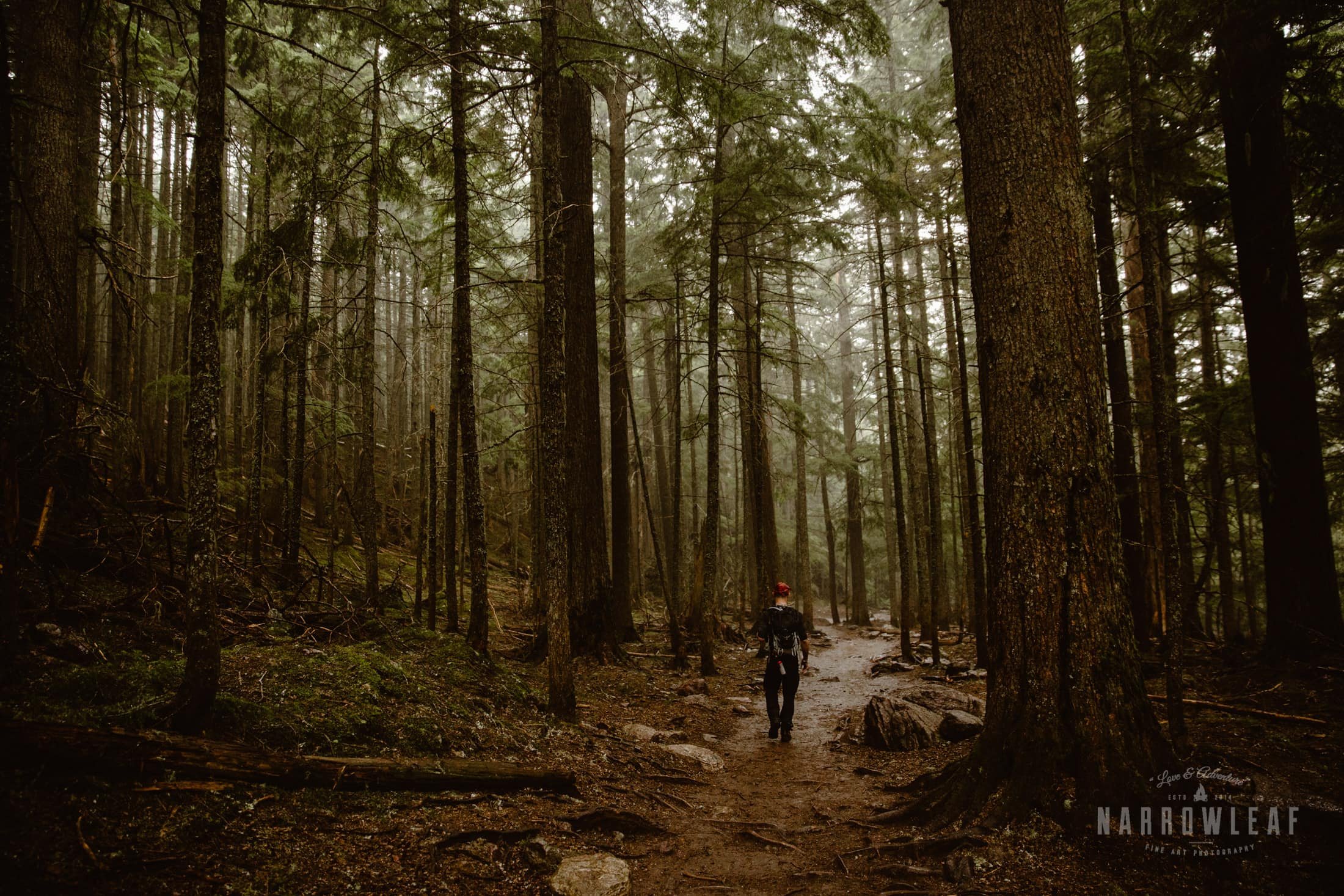 hiking-montana-forest-Narrowleaf_Love_and_Adventure_Photography-0254.jpg