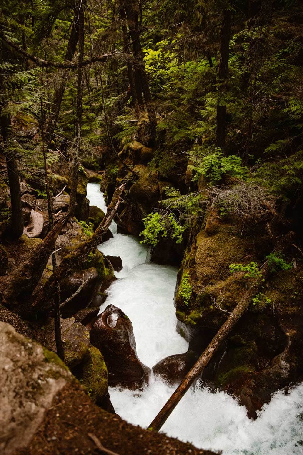 glacier-national-park-adventure-0029_1.jpg