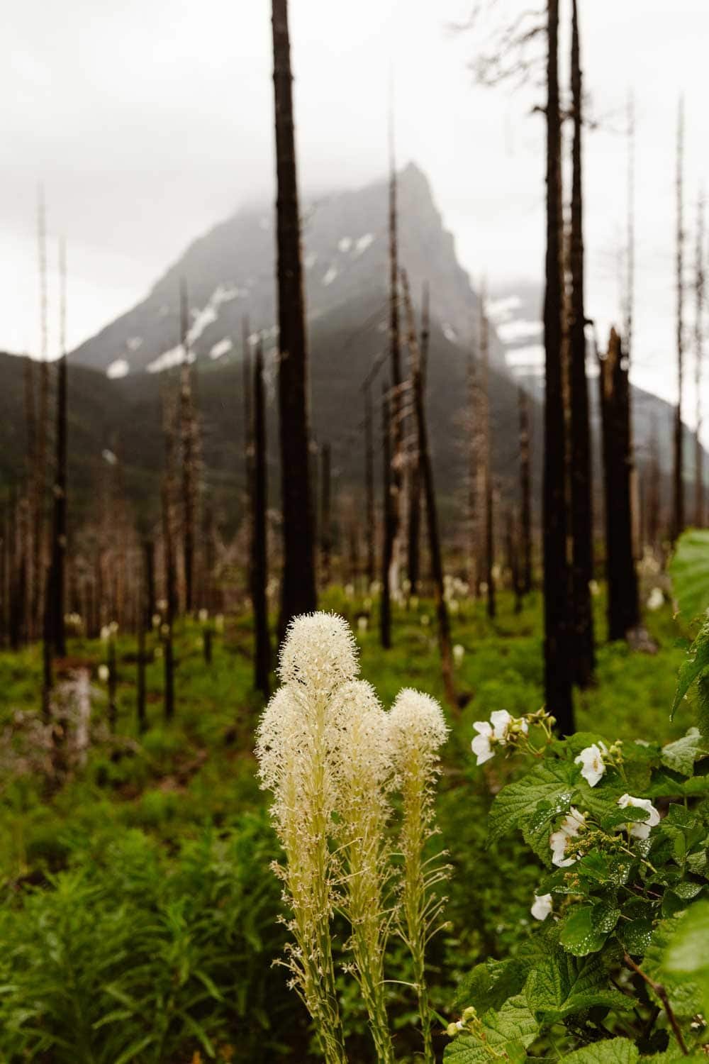 glacier-national-park-adventure-0056_2.jpg