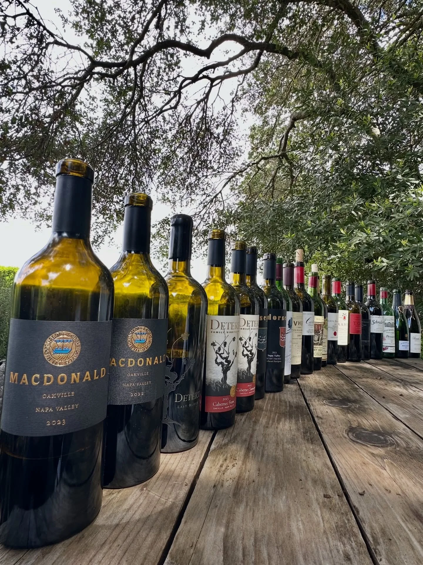 Casual afternoon but serious wine at MacDonald vineyard. Tasting and comparing different representations of To Kalon, old vine Cab Franc, VHR, and some other fun gems. 

Thank you Brian, Amir and Alex for hosting such a special gathering.

Standouts 