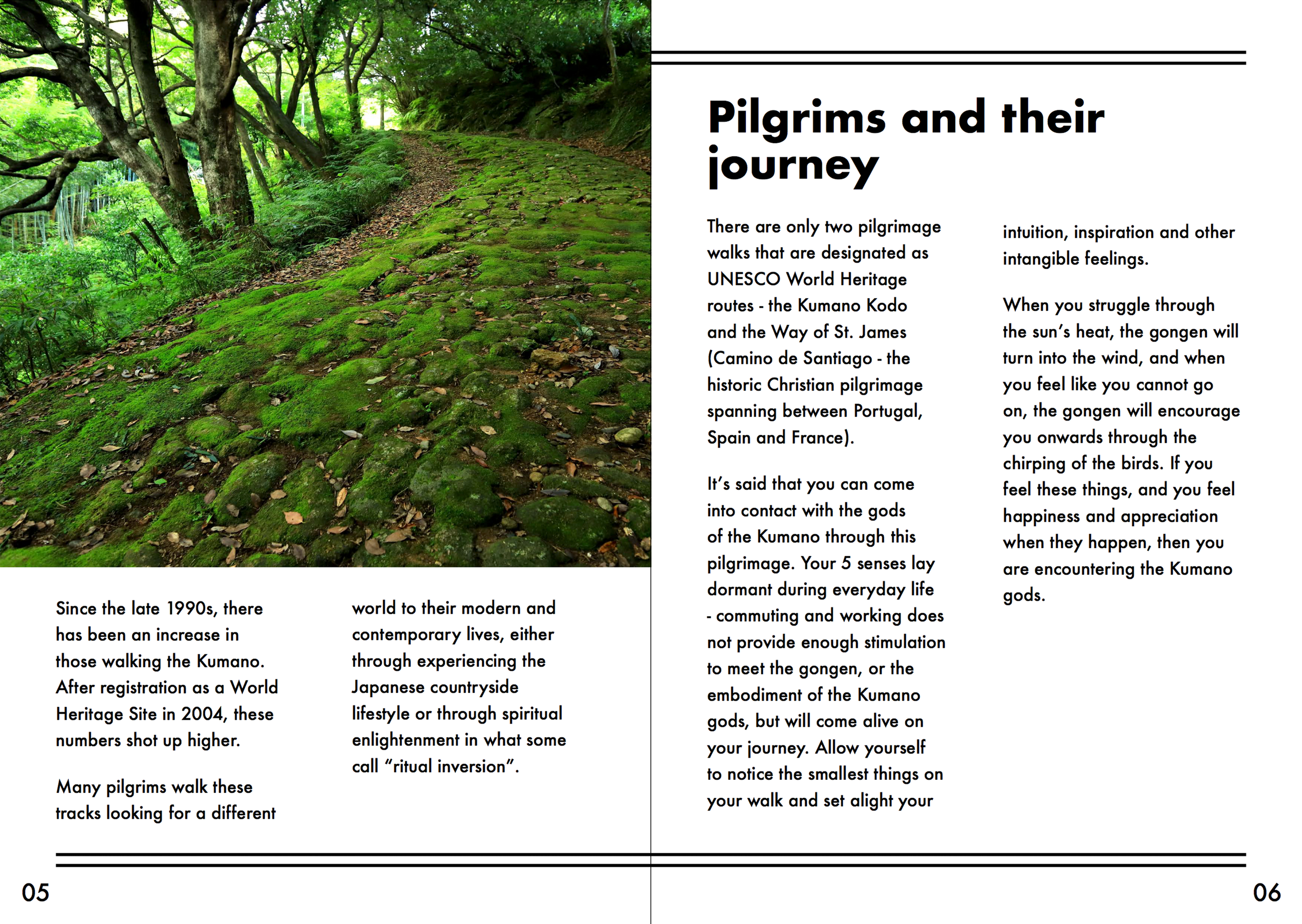 Shingu-Booklet1-4.png